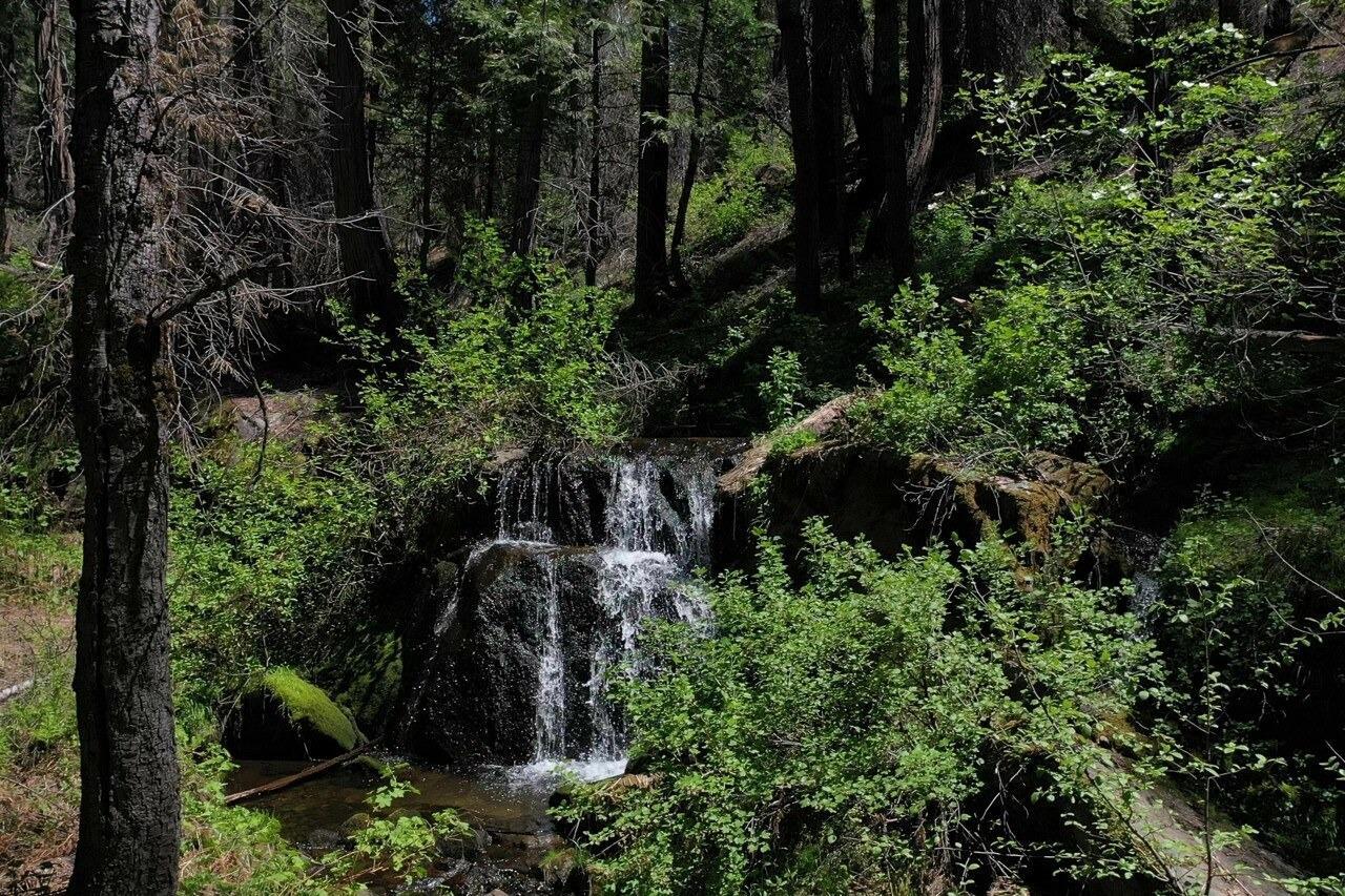 Yosemite, California, 95389, United States, ,Residential,For Sale,1791701