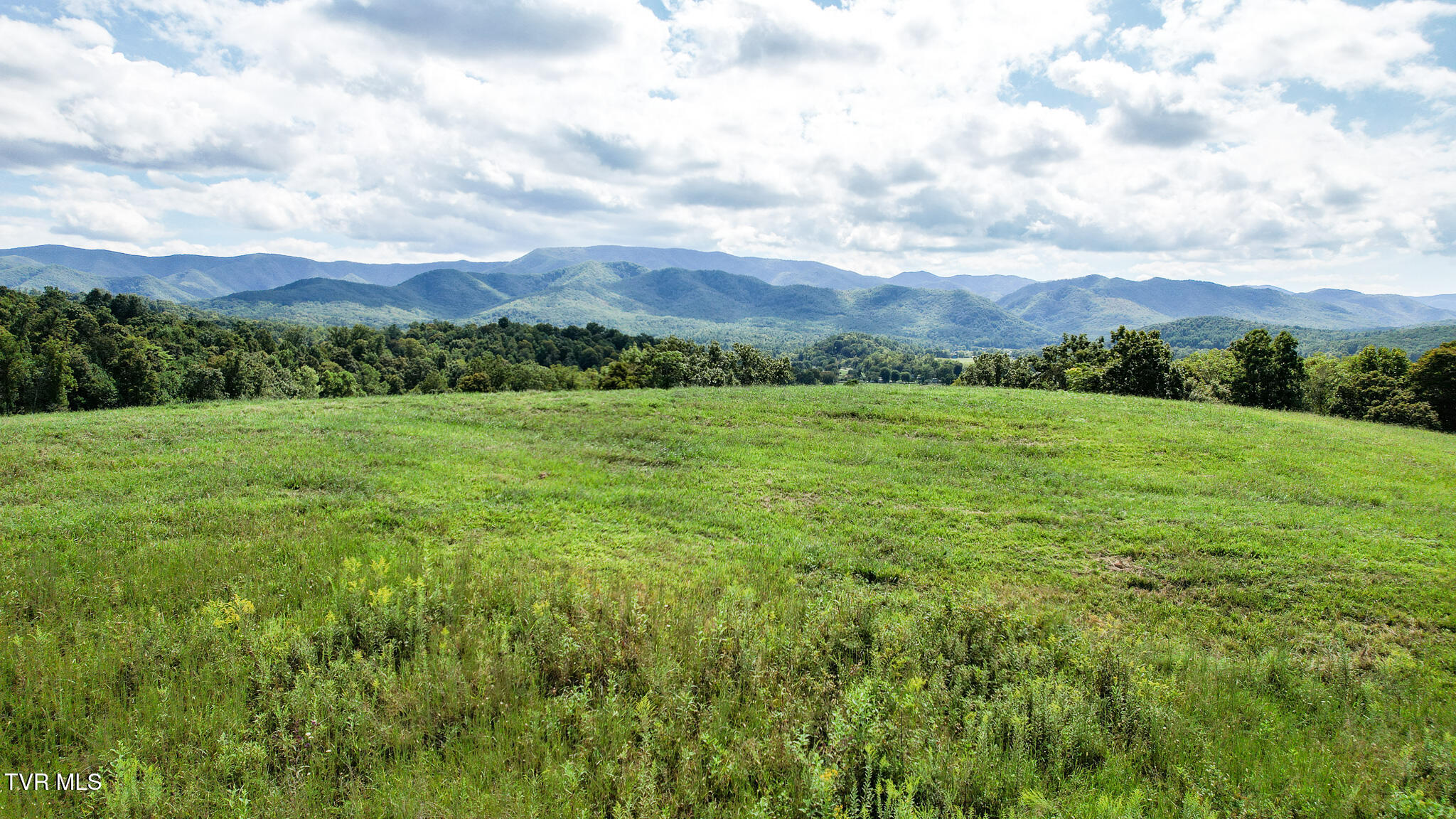 Chuckey, Tennessee, 37641, United States, ,Land,For Sale,1982630