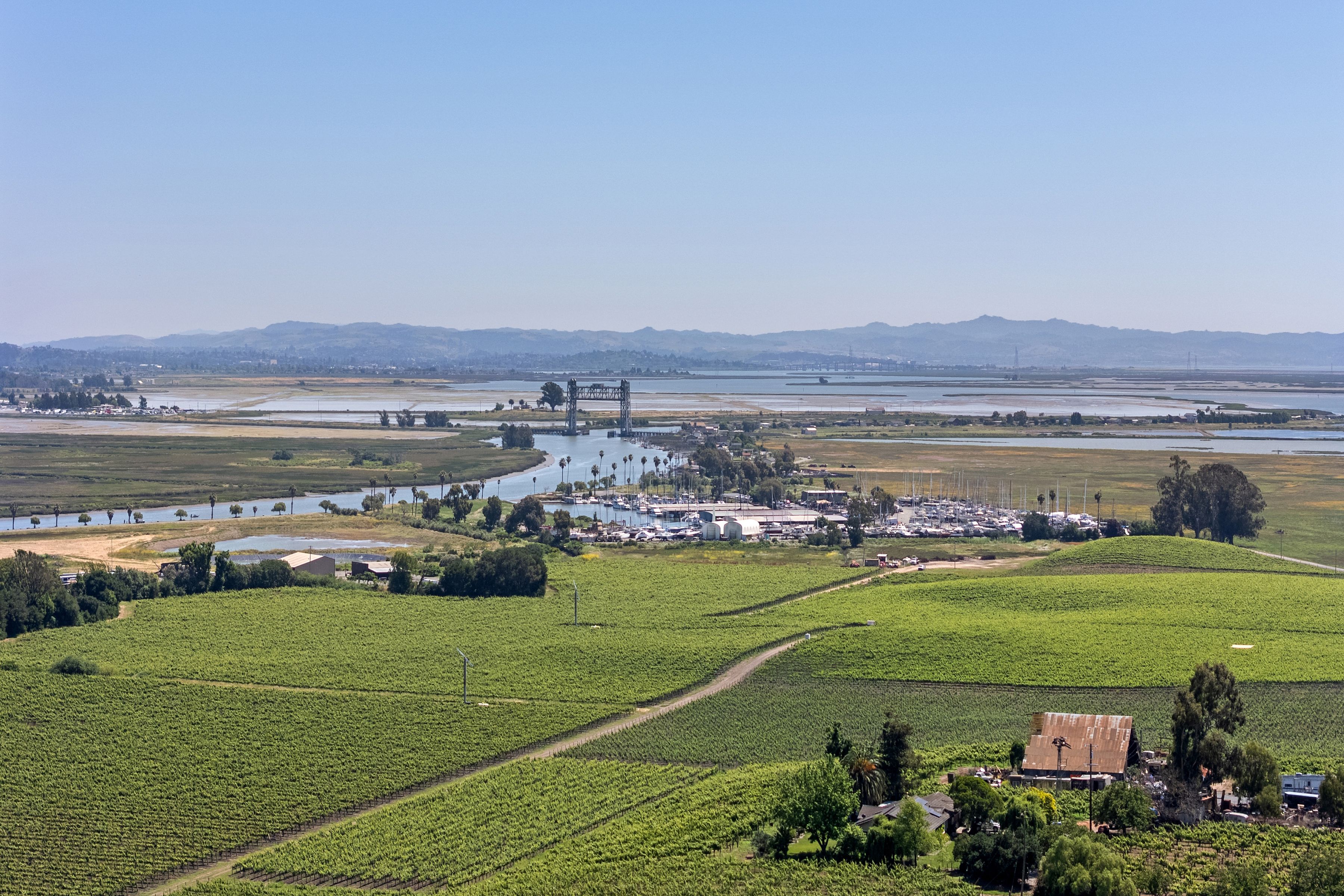 1081 Las Amigas Road, Napa - 物件實景