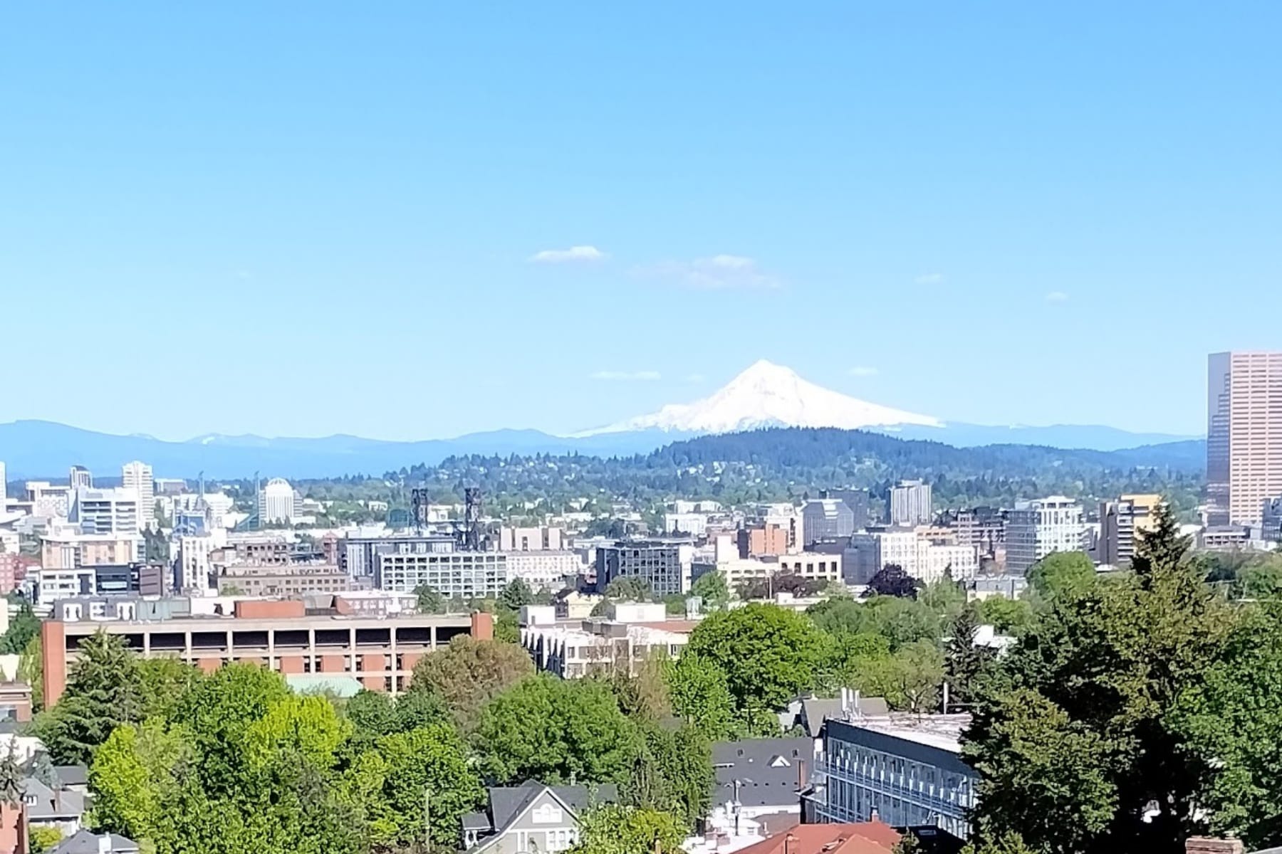  1122 NW SUMMIT AVE Portland, OR 97210 - 物件實景