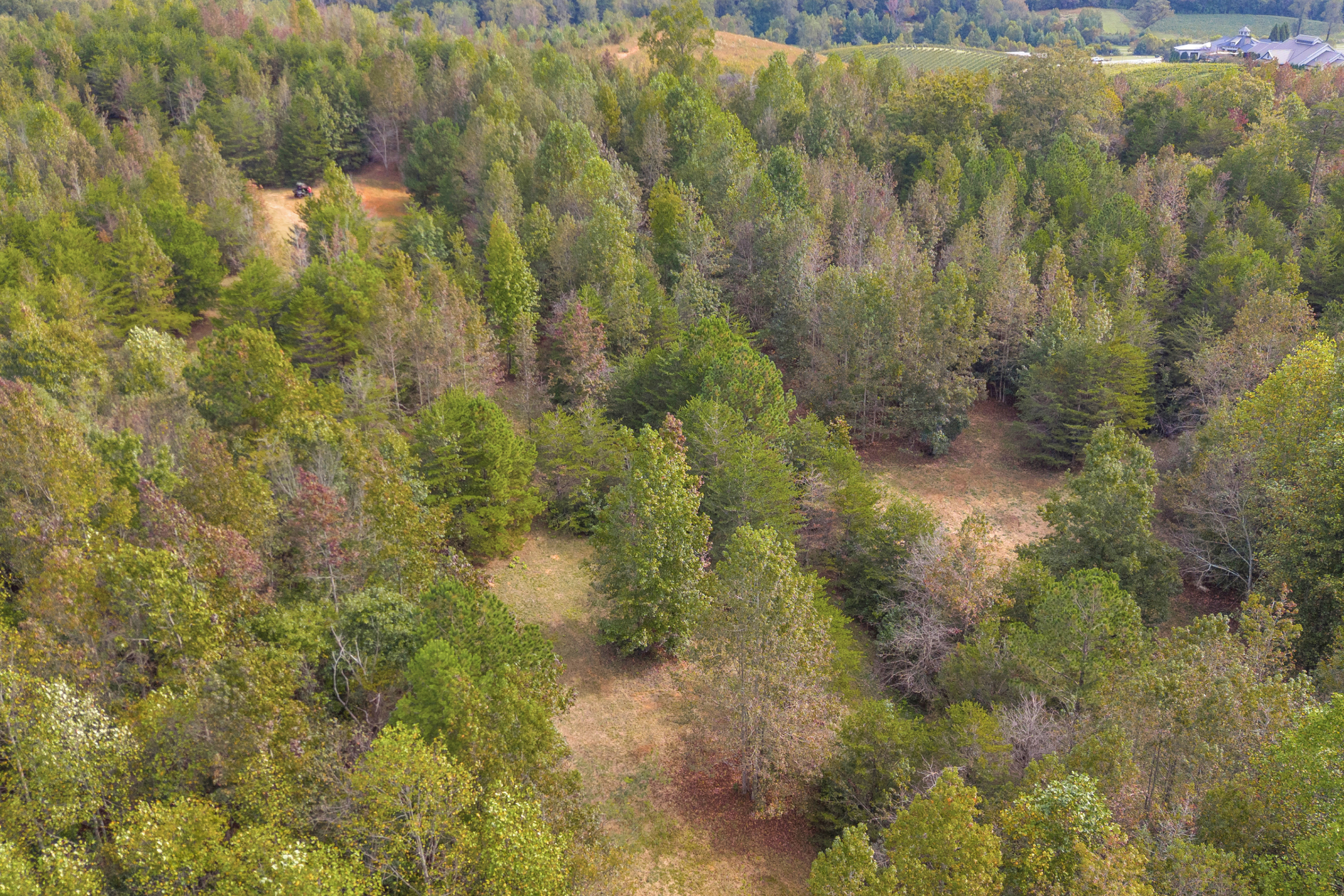 Cleveland, Georgia, 30528, United States, 3 Bedrooms Bedrooms, ,2 BathroomsBathrooms,Residential,For Sale,1979350