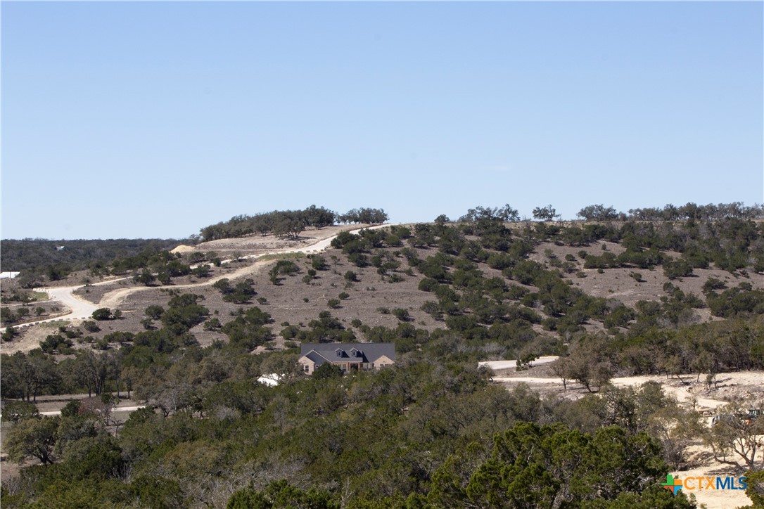 Blanco, Texas, 78606, United States, ,Land,For Sale,1877440