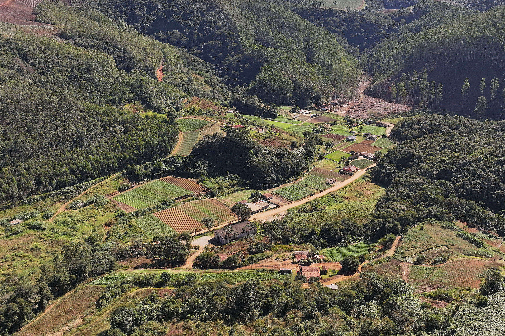  Productive estate spanning 865 acres in the mountains of Teresópolis - 物件實景