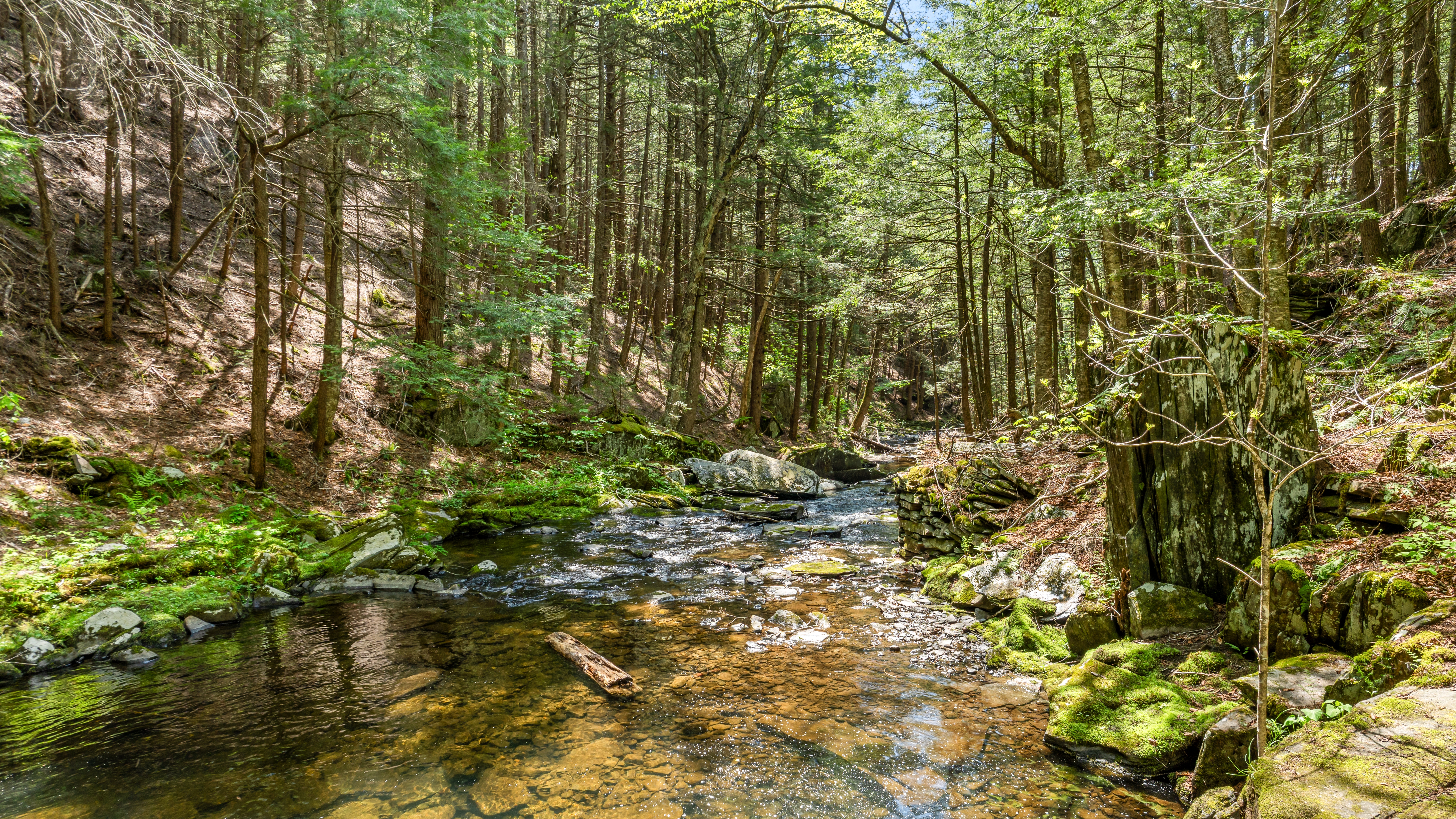  Enchanting 55-Acre Country Estate Along Mill Brook - 物件實景