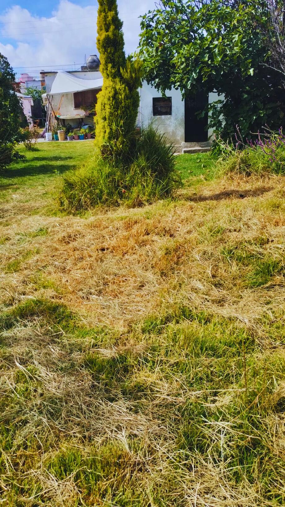 GONZALEZ Y PICHARDO, Toluca, Estado de méxico, 50120, Mexico, 4 Bedrooms Bedrooms, ,1 BathroomBathrooms,Residential,For Sale,GONZALEZ Y PICHARDO,1623909