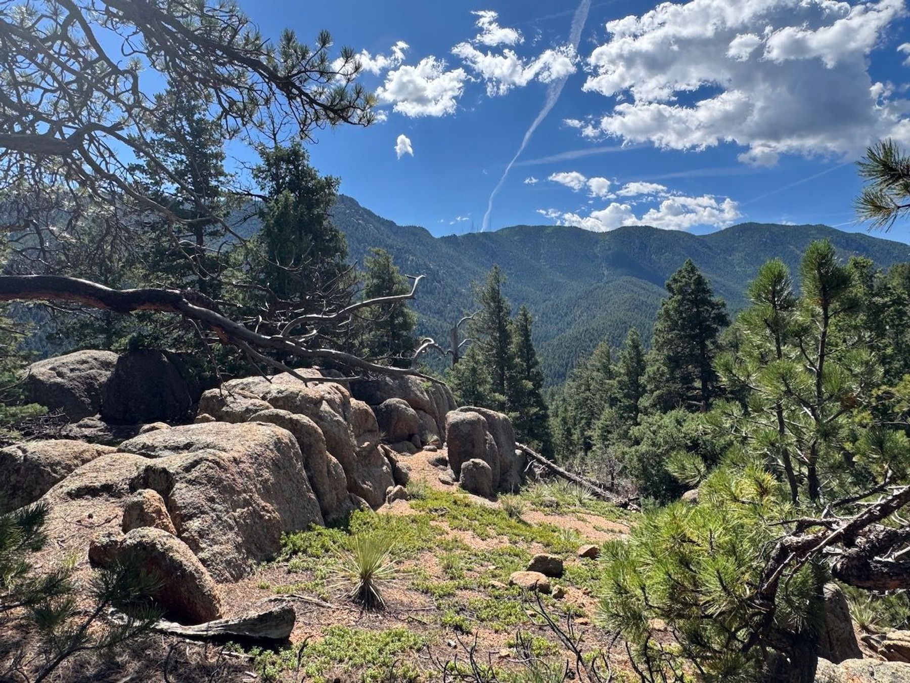  MOUNTAIN SANCTUARY HIGH ABOVE THE BROADMOOR - 物件實景