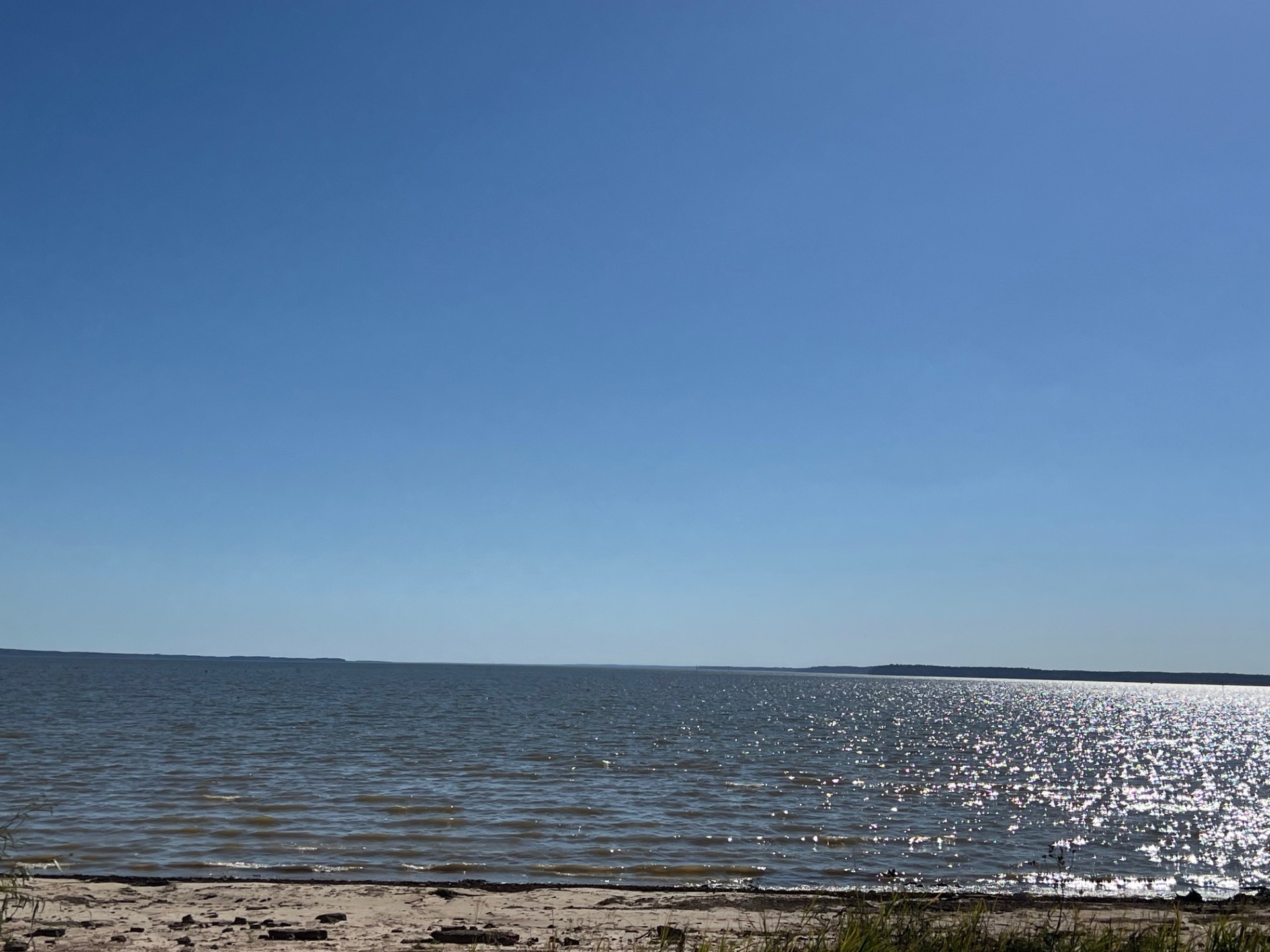 Converse, Louisiana, 71419, United States, ,Residential,For Sale,1995387