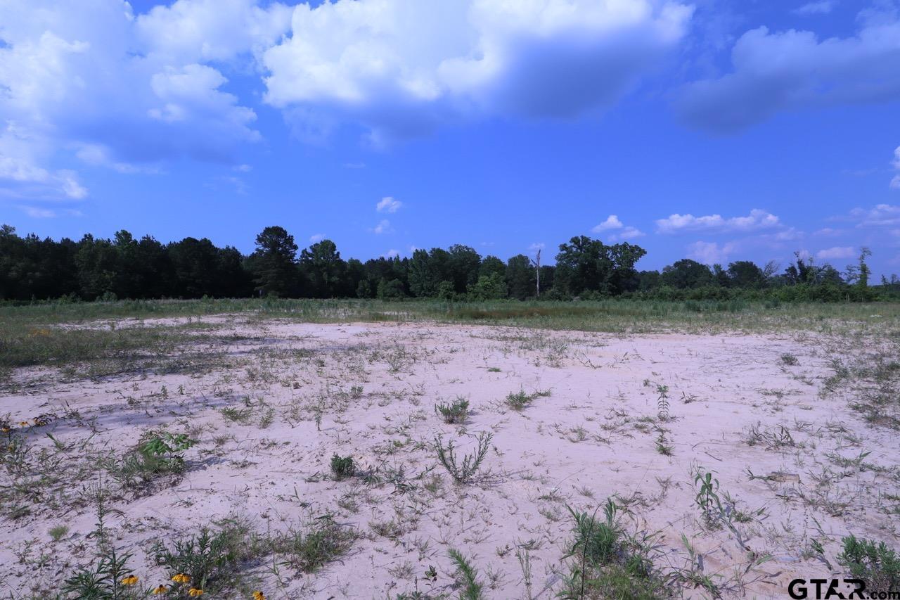 TBD Intersection CR 1324 & CR 1301, Marshall, Texas, 75672, United States, ,Land,For Sale,TBD Intersection CR 1324 & CR 1301,1610763