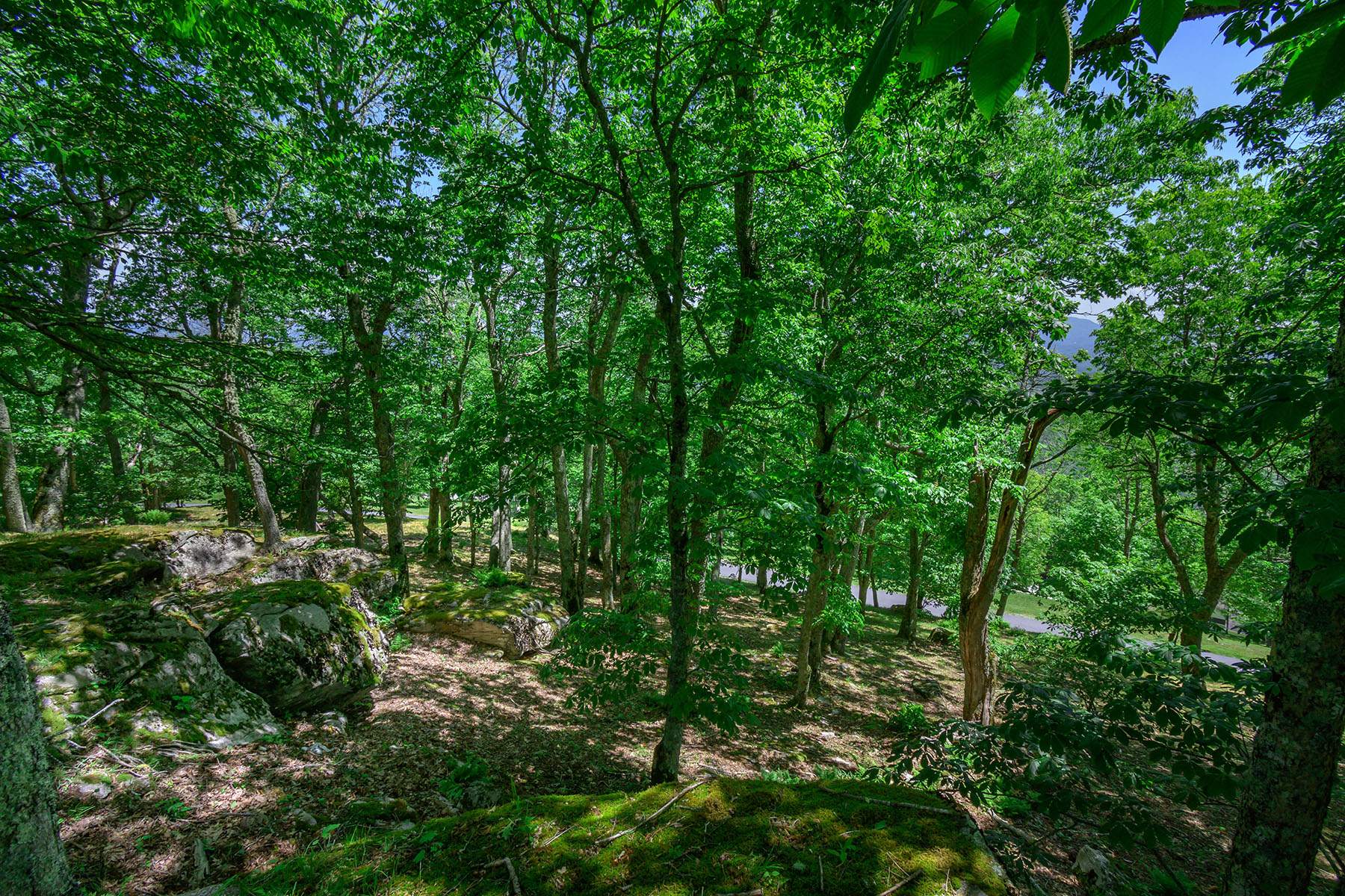  BANNER ELK - ROCKY KNOB - 物件實景