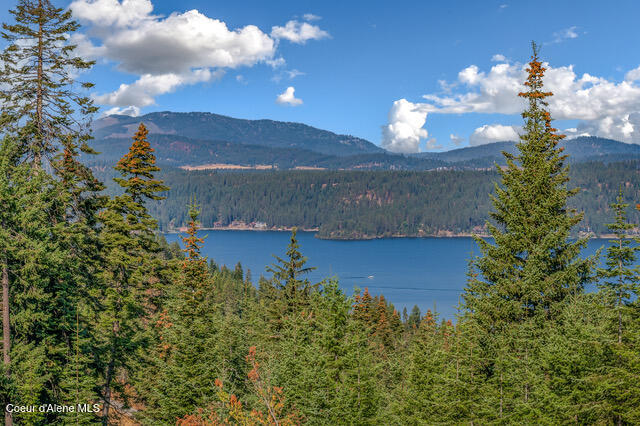 Harrison, Idaho, 83833, United States, ,Residential,For Sale,1958033