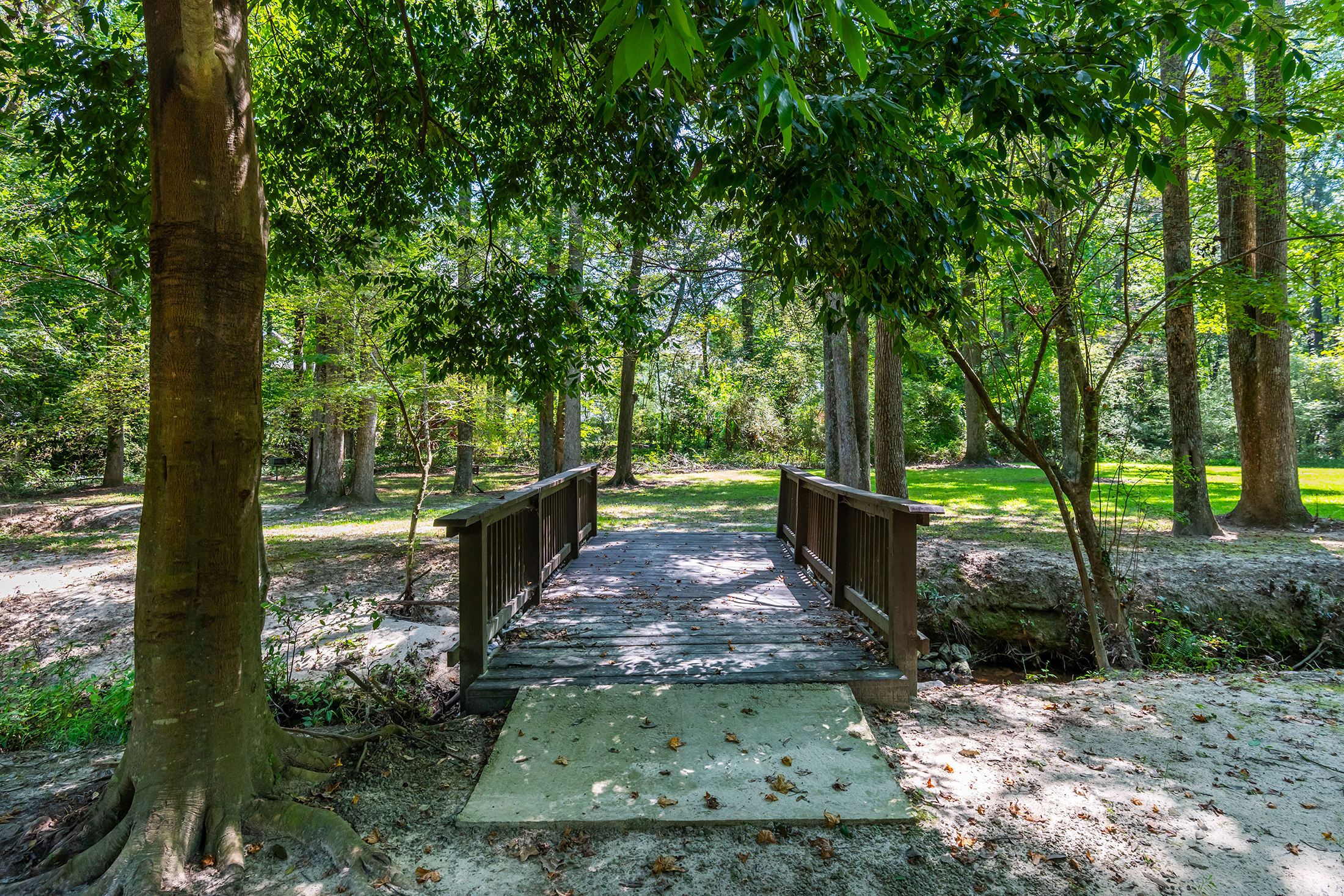  Timeless Charm Meets Effortless Everyday Living in the Heart of Alpharetta - 物件實景