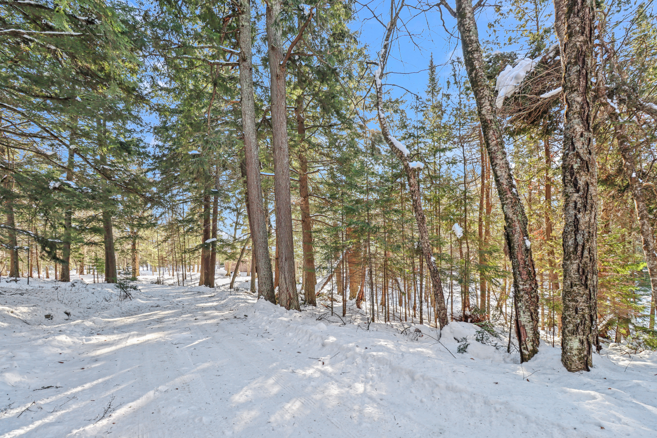 Land O Lakes, Wisconsin, 54540, United States, 3 Bedrooms Bedrooms, ,3 BathroomsBathrooms,Residential,For Sale,2005776