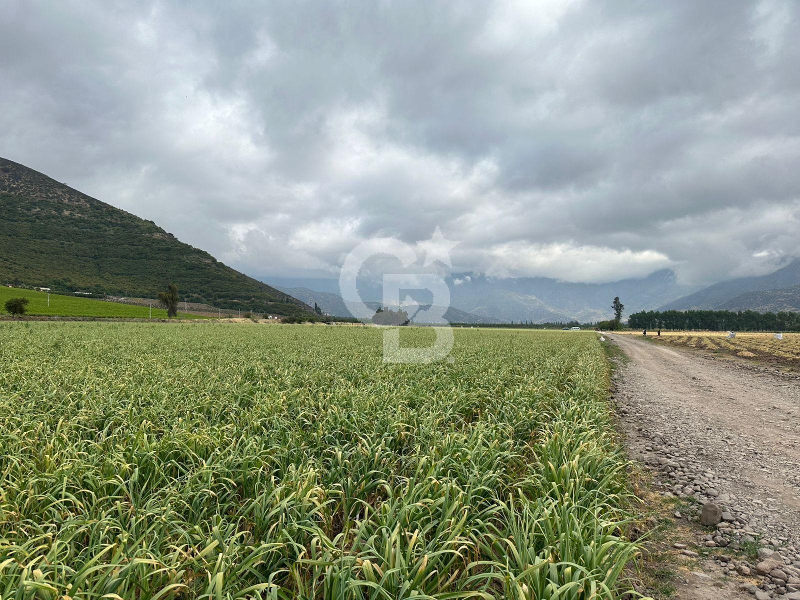 Catemu, Chile, ,Residential,For Sale,1991169