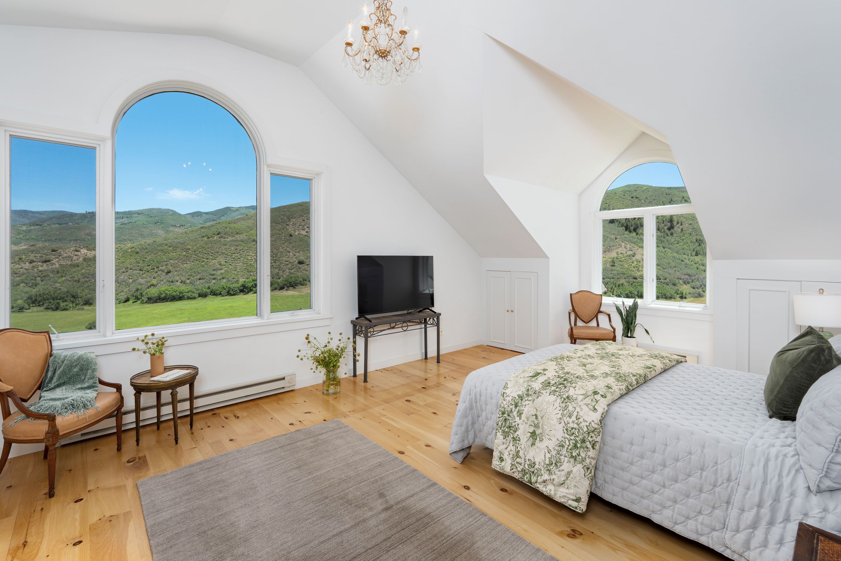  679 Brush Creek Road, Aspen, CO 81611 - 物件實景