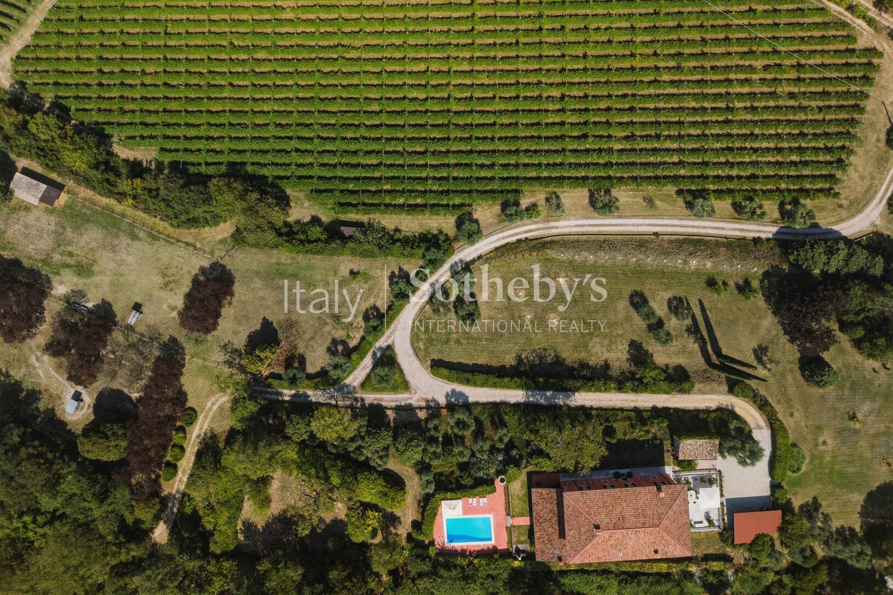  Historic Estate with Park and Vineyard between Verona and Lake Garda - 物件實景