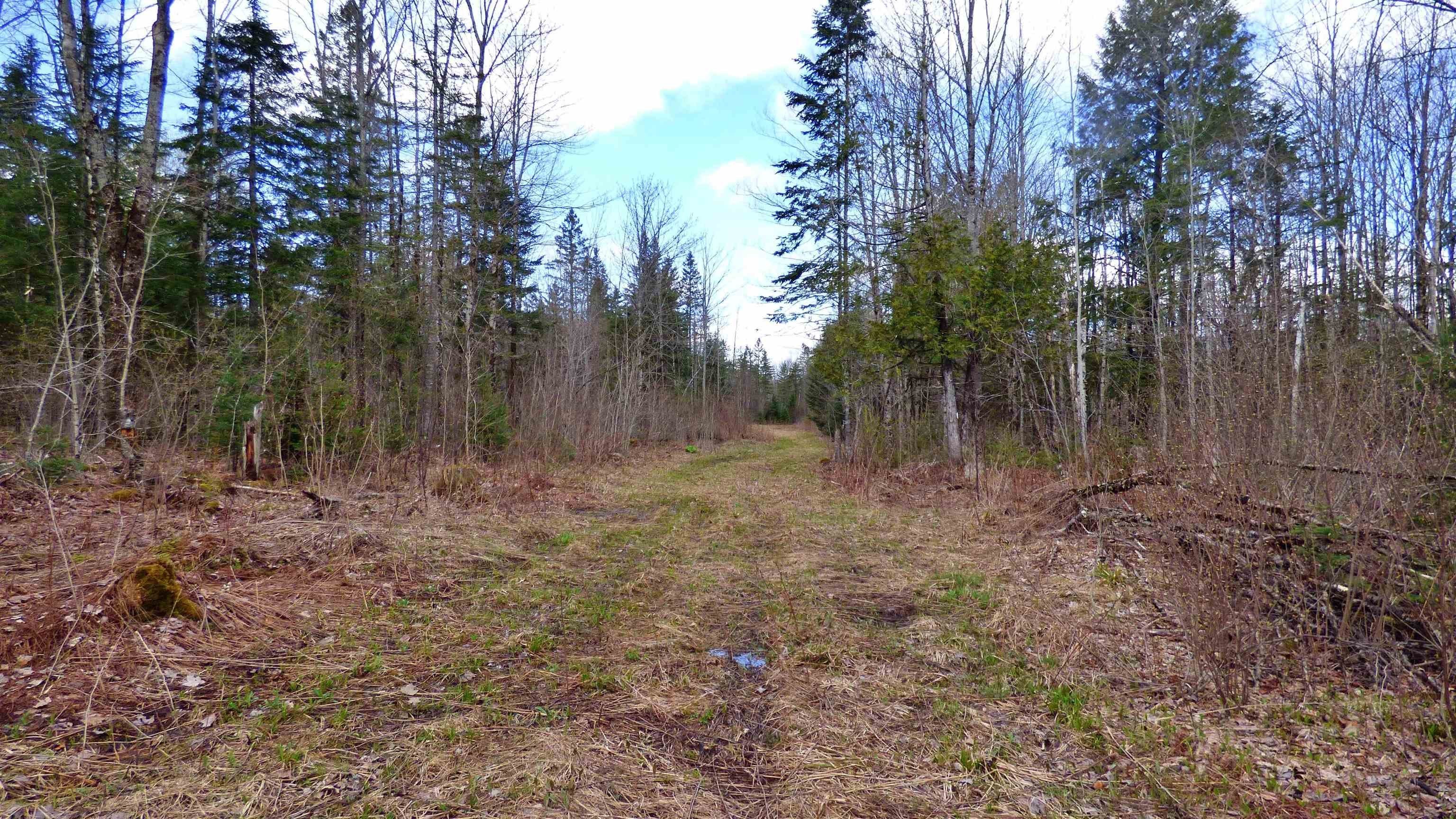 Wheelock, Vermont, 05851, United States, ,Land,For Sale,2017669