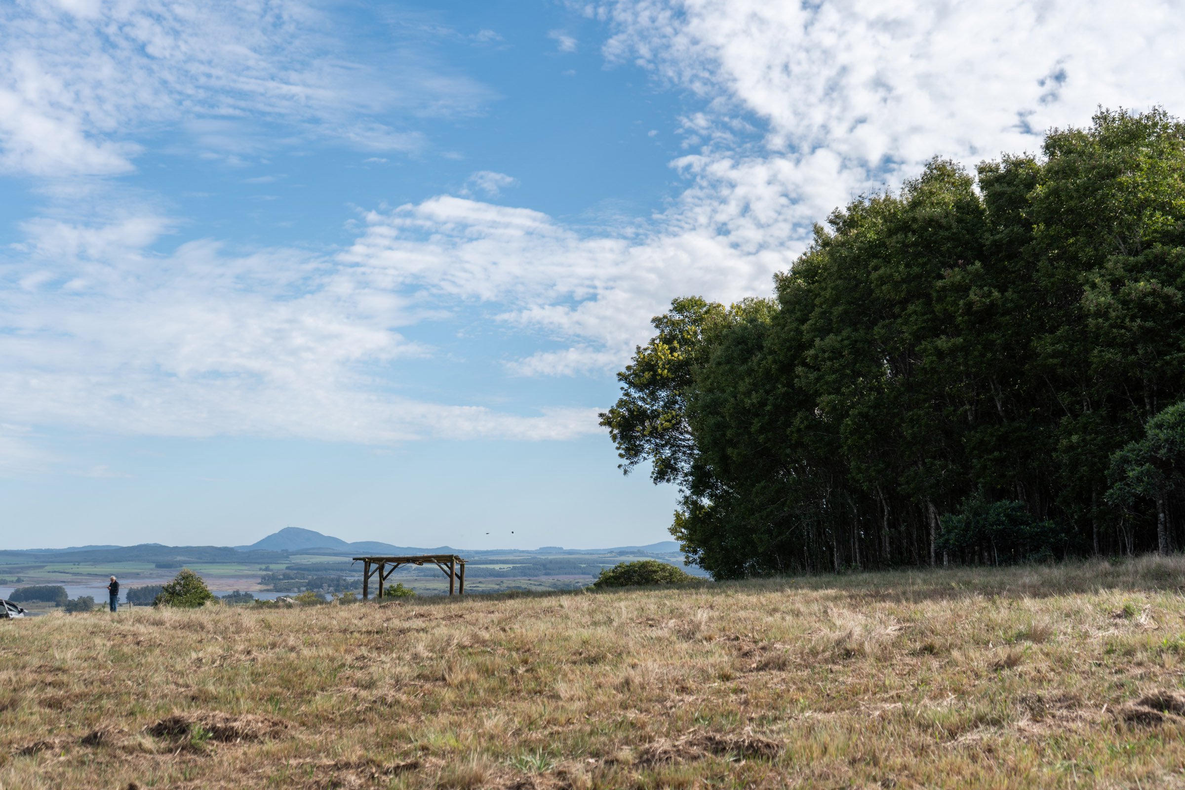  Farm in Las Vertientes, Punta Ballena. - 物件實景