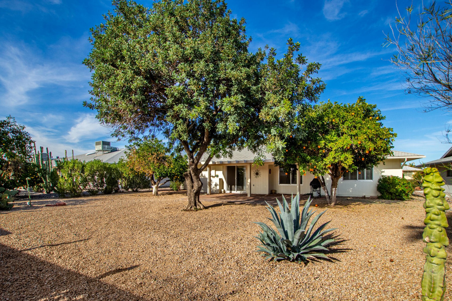  13023 W Beardsley Road¦Sun City West, AZ - 物件實景