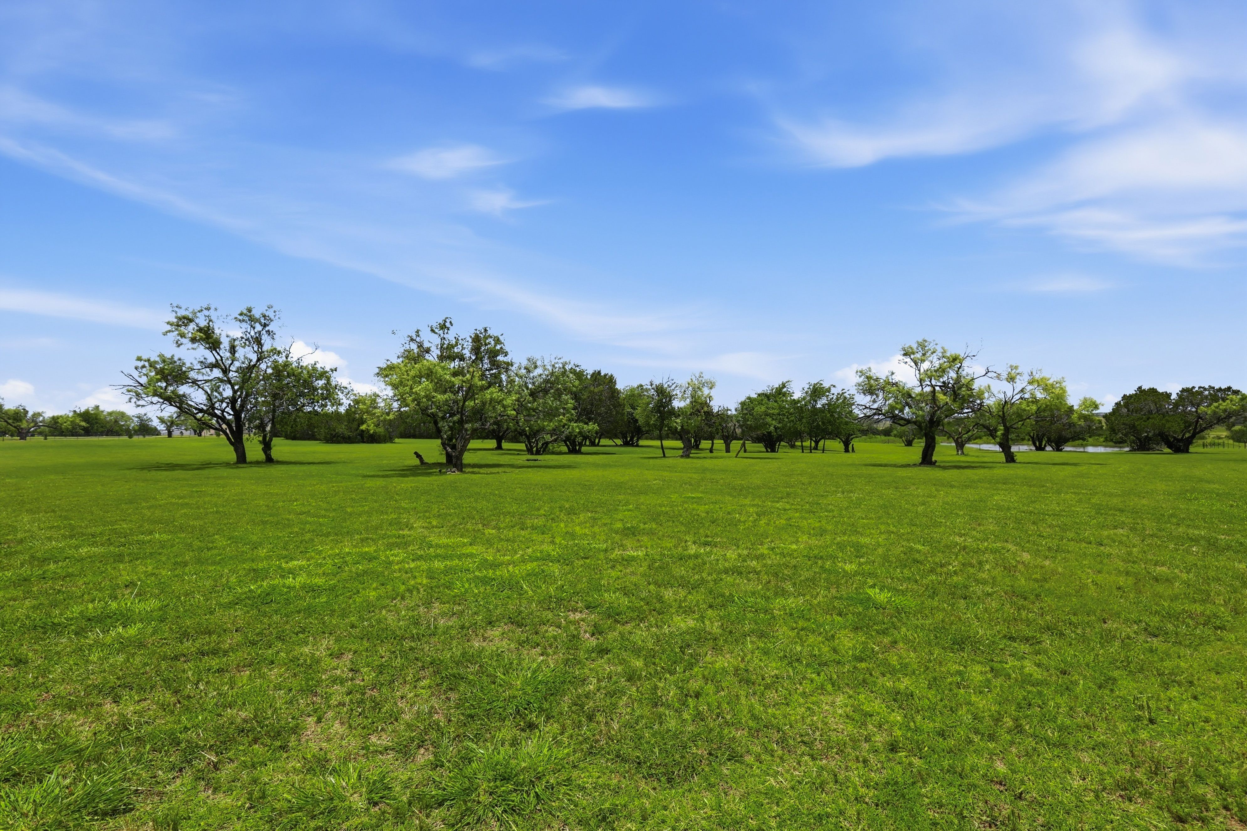  158 Private Road 2656, Walnut Springs, TX, 76690 - 物件實景