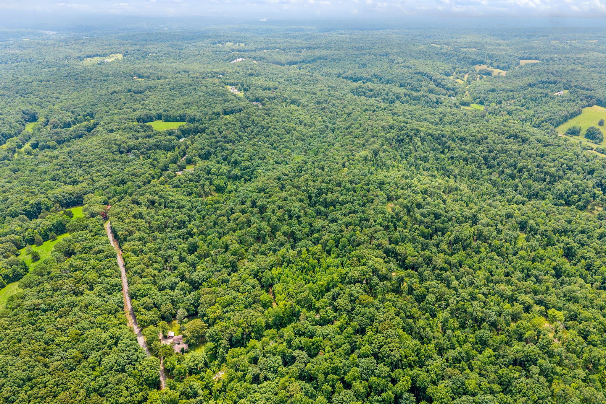  196 Wildlife Road, Dover, TN, 37058 - 物件實景