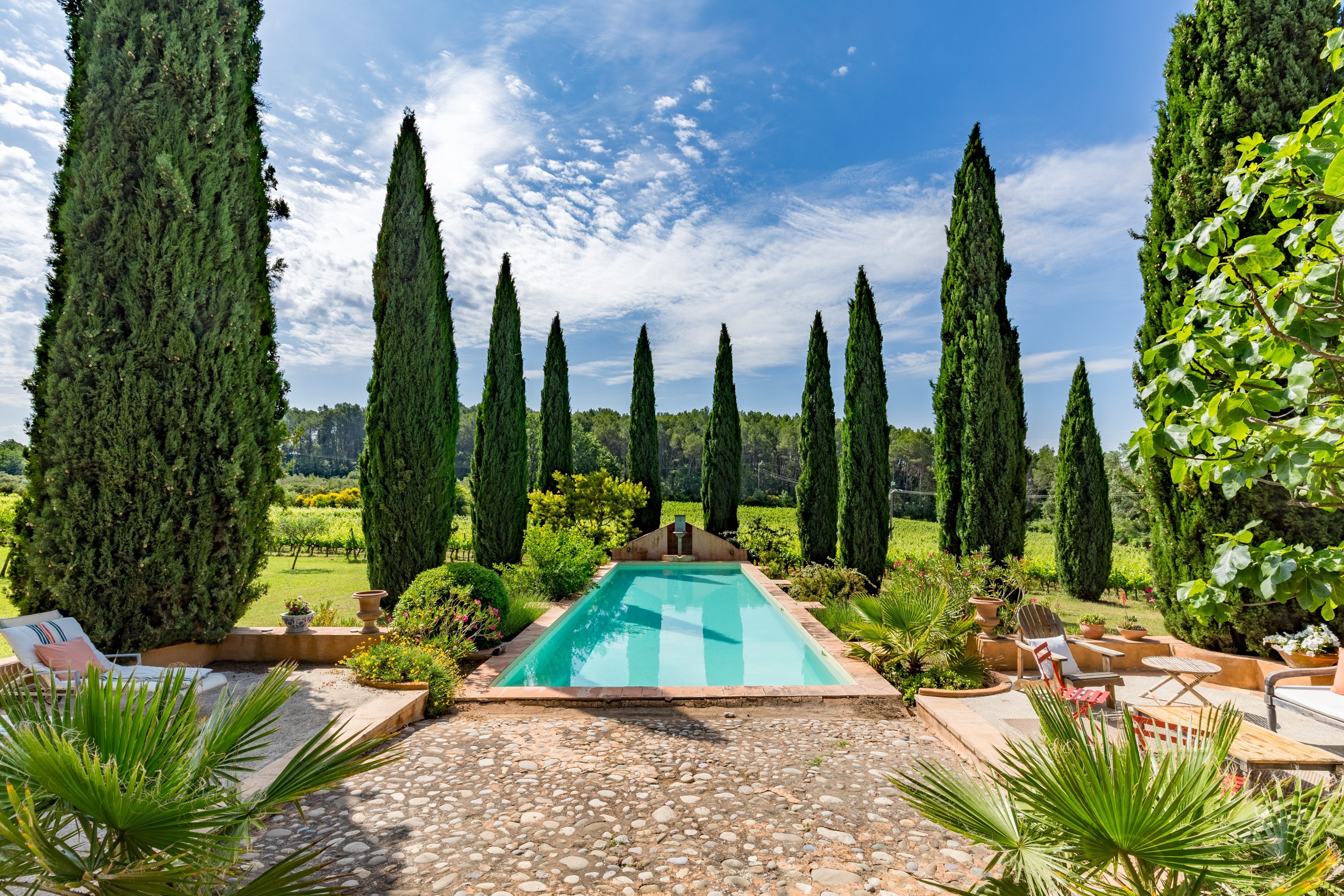  Charming Wine Estate in the Heart of Provence - 物件實景