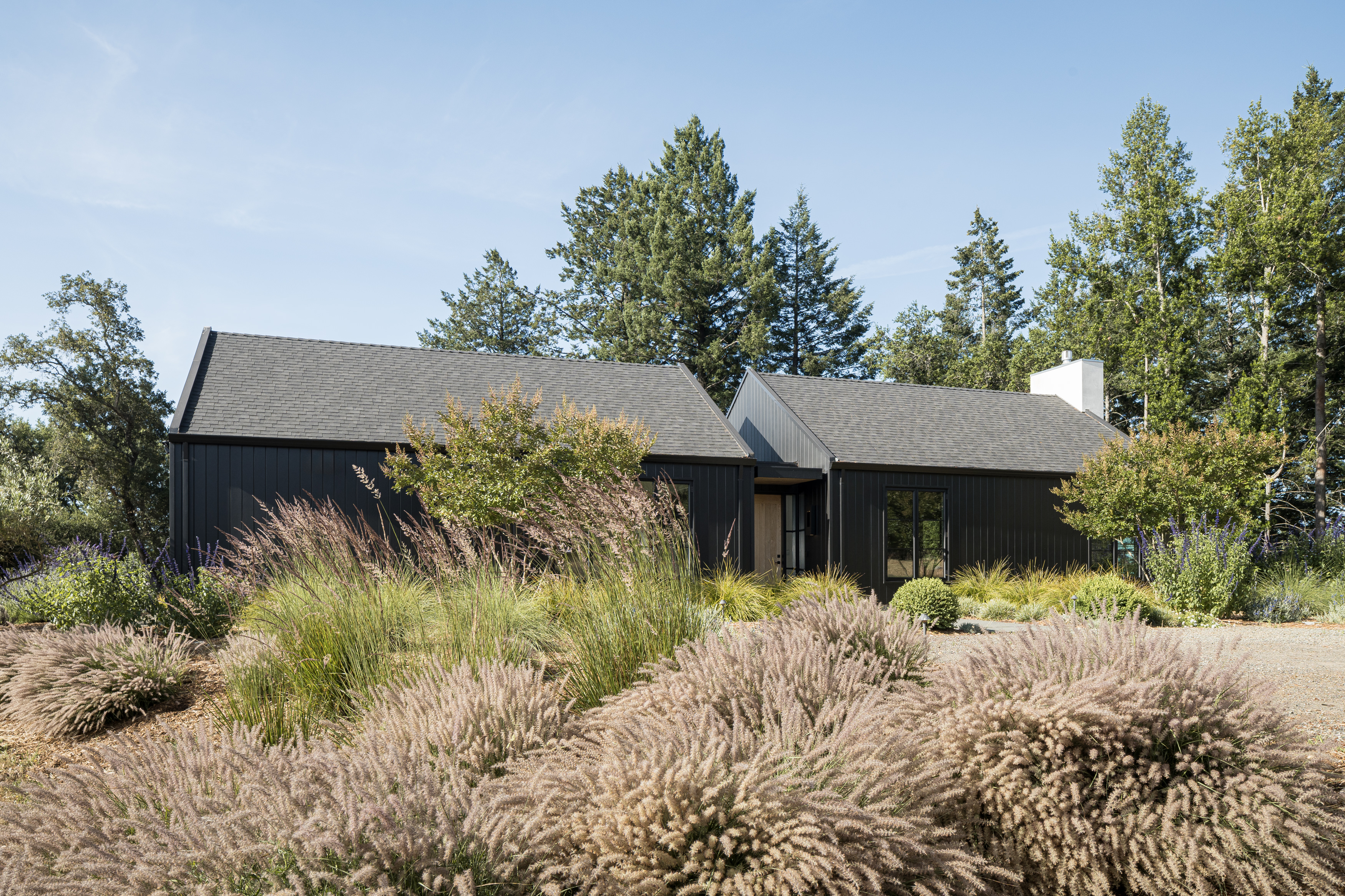  Bennett Valley Modern Estate - 物件實景