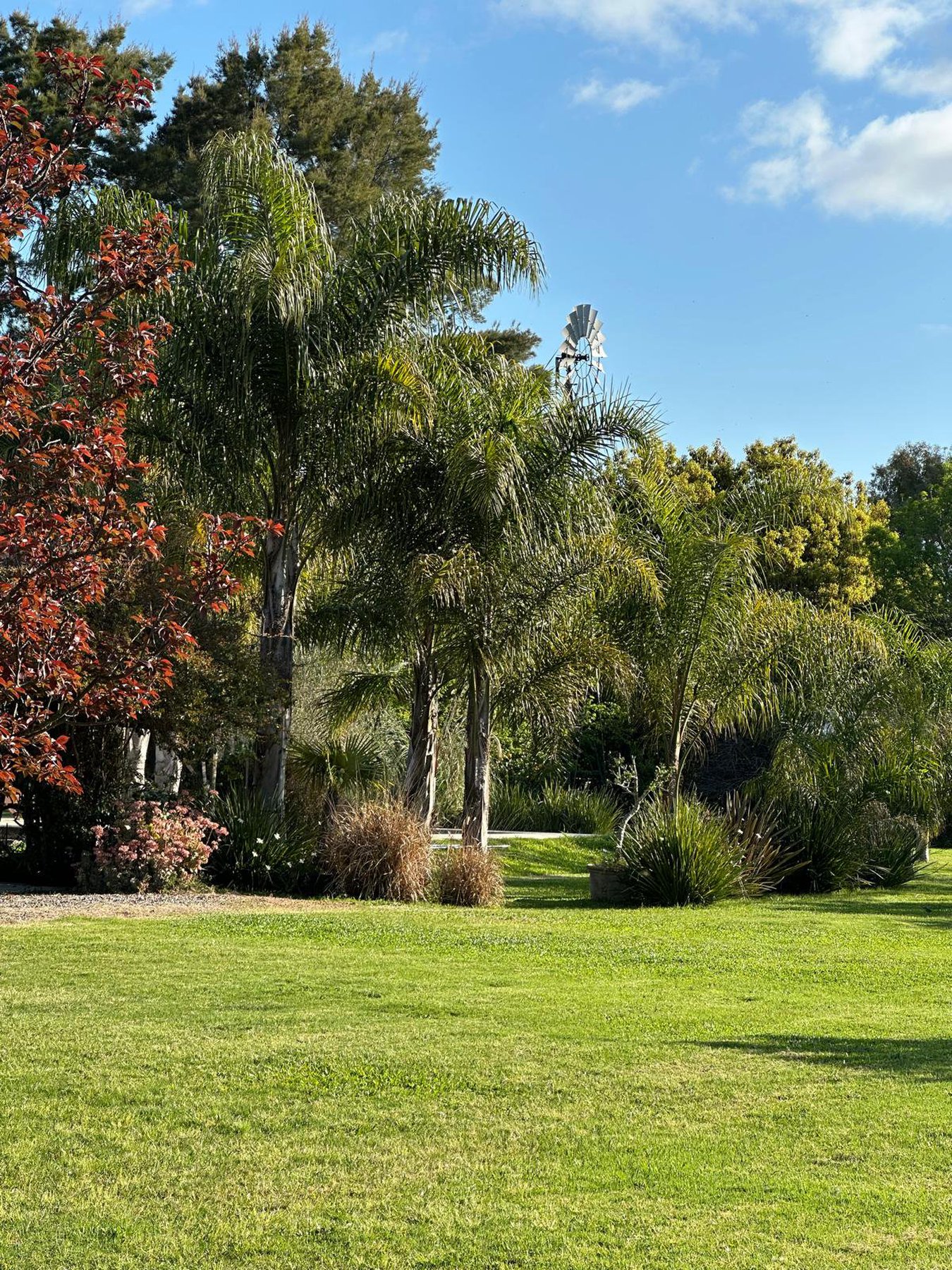  Elegant Country Home Near Colonia del Sacramento - 物件實景