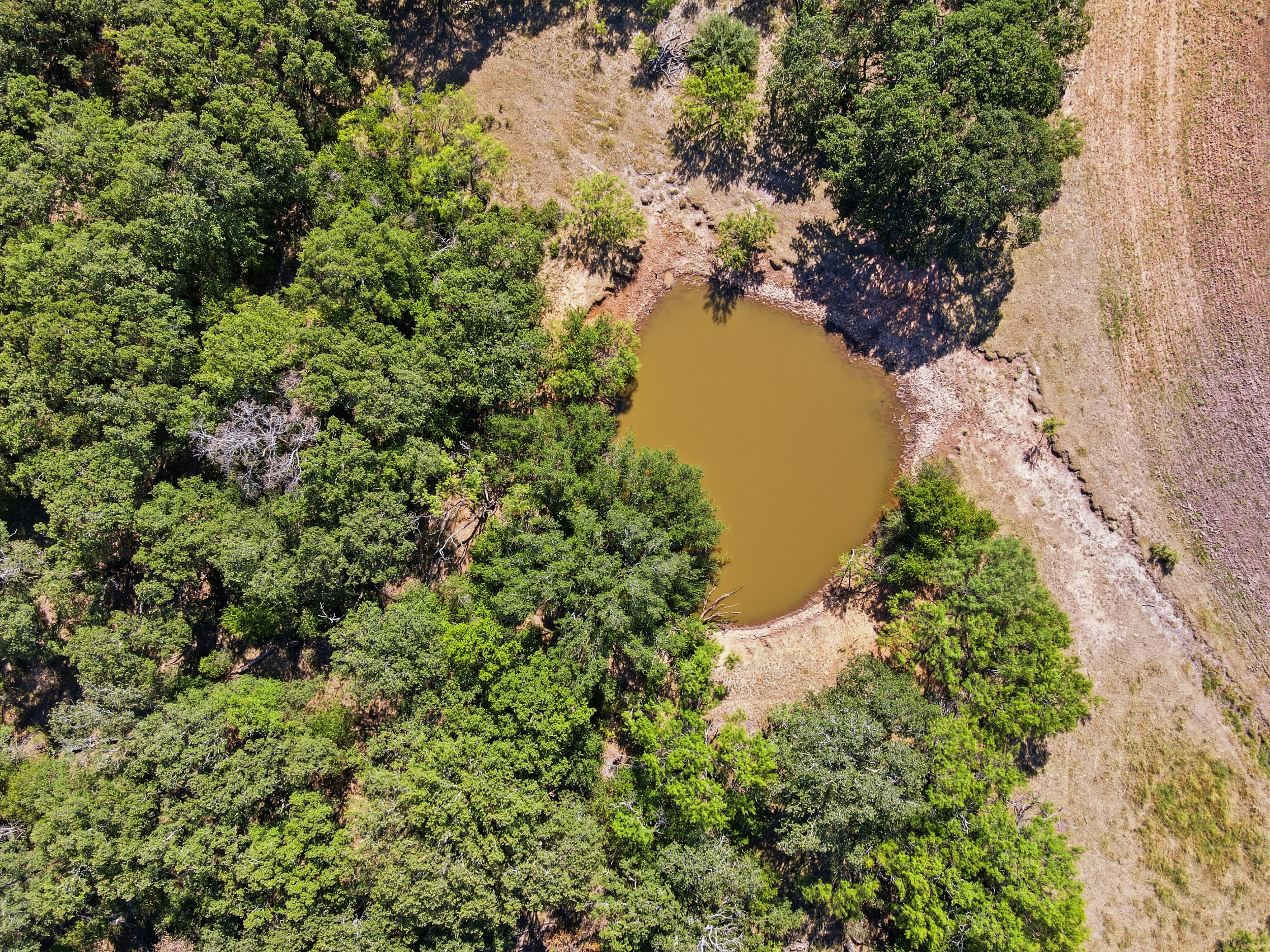  125 Acres of Texas Land for Recreation and Retreat - 物件實景