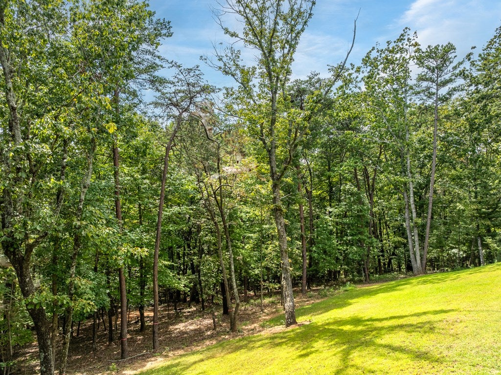 Talking Rock, Georgia, 30175, United States, 3 Bedrooms Bedrooms, ,2 BathroomsBathrooms,Residential,For Sale,1972069