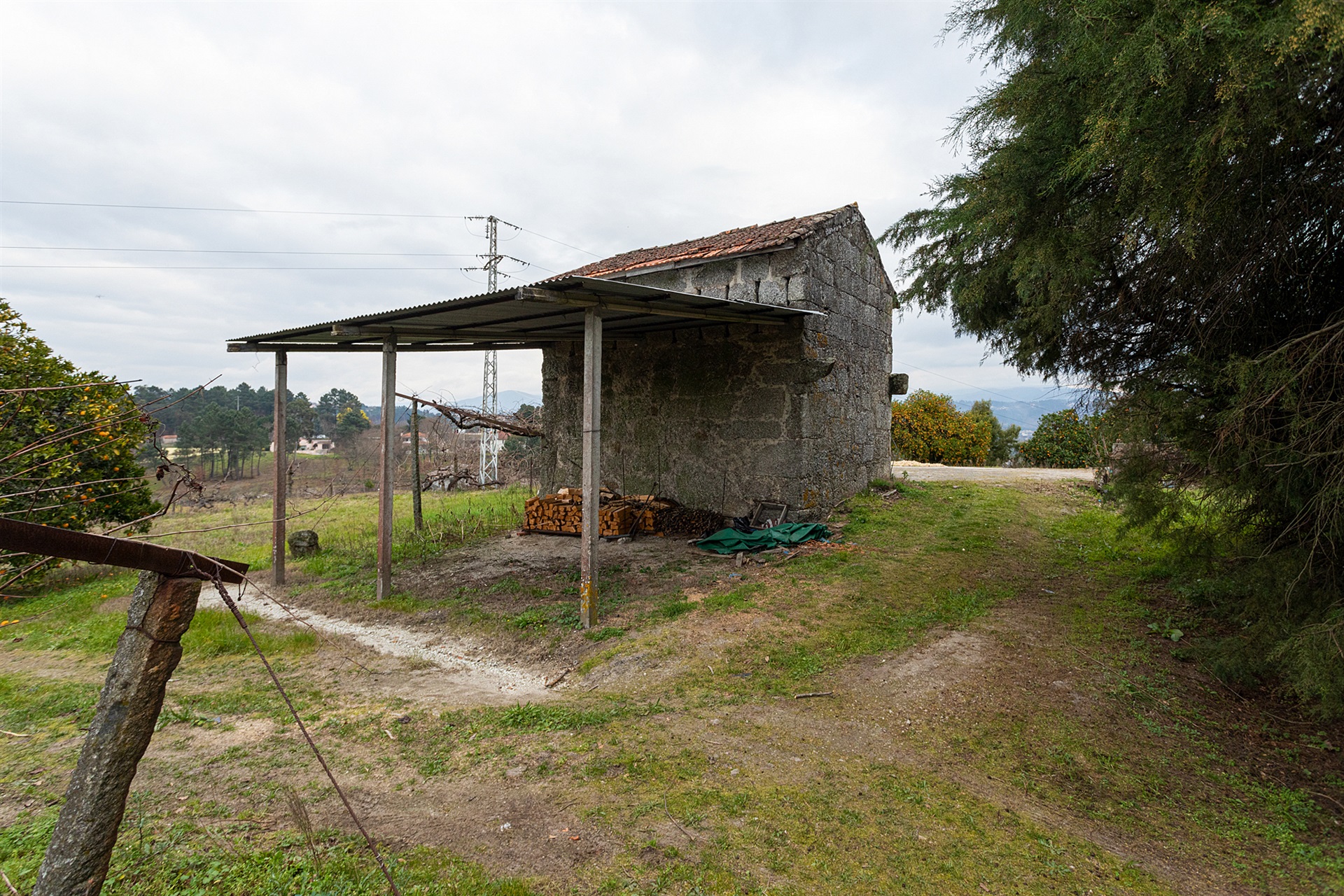  Small Farm, 4 bedrooms, for Sale - 物件實景