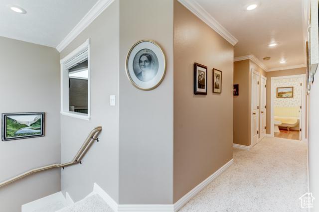 Fairview, Utah, 84629, United States, 4 Bedrooms Bedrooms, ,5 BathroomsBathrooms,Residential,For Sale,1879255