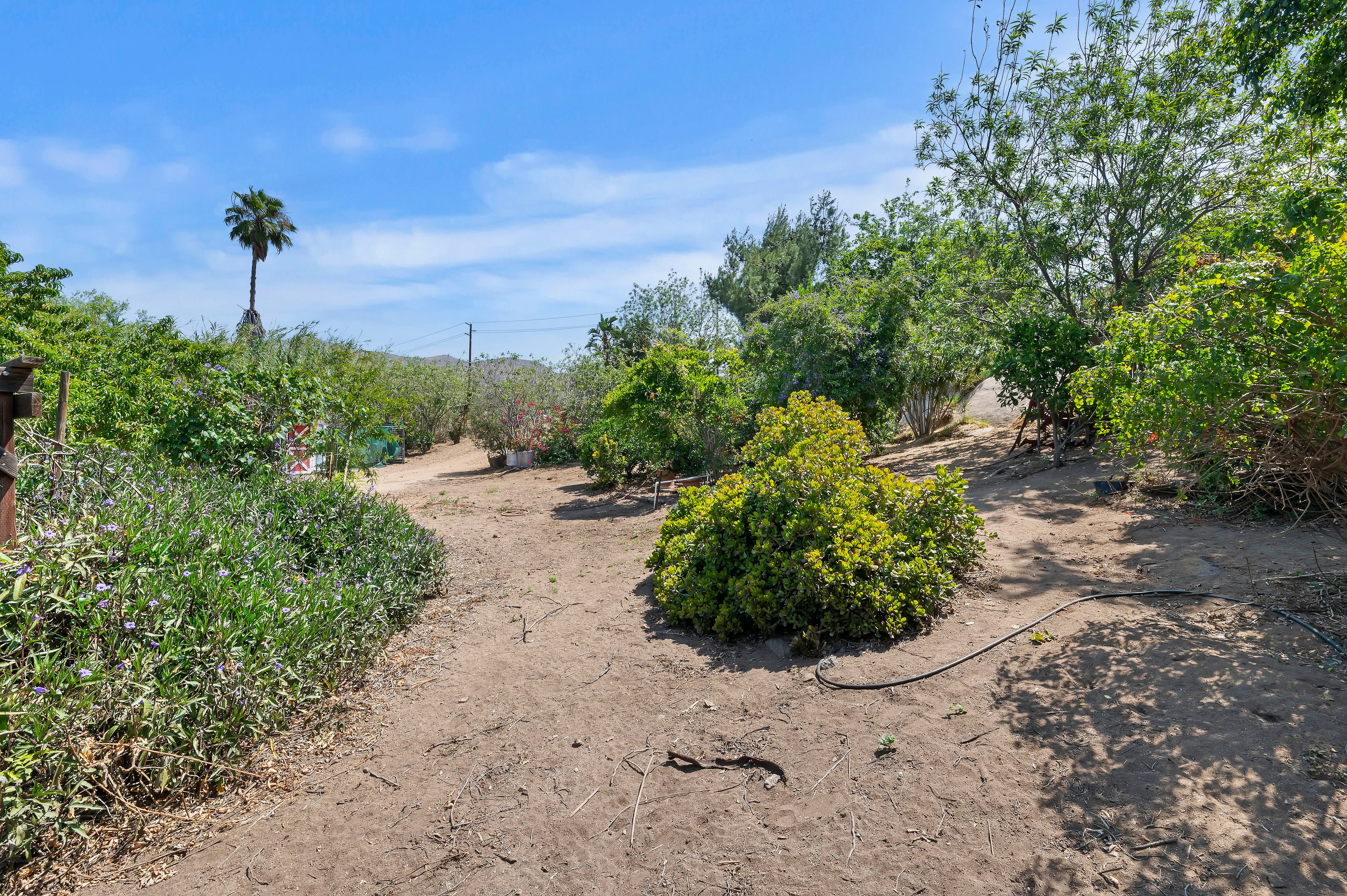  115 East Street, Norco, CA 92860 - 物件實景