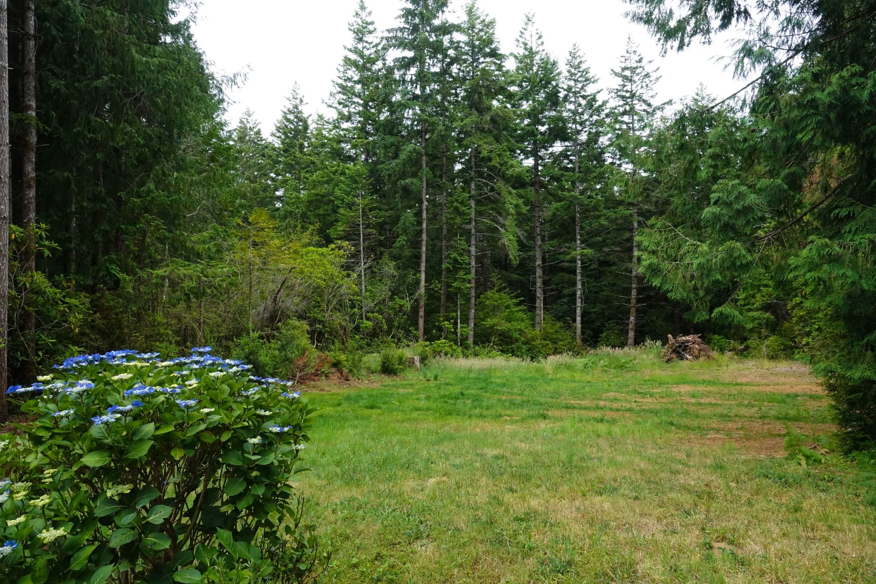  87444 WHISTLING LN Bandon, OR 97411 - 物件實景