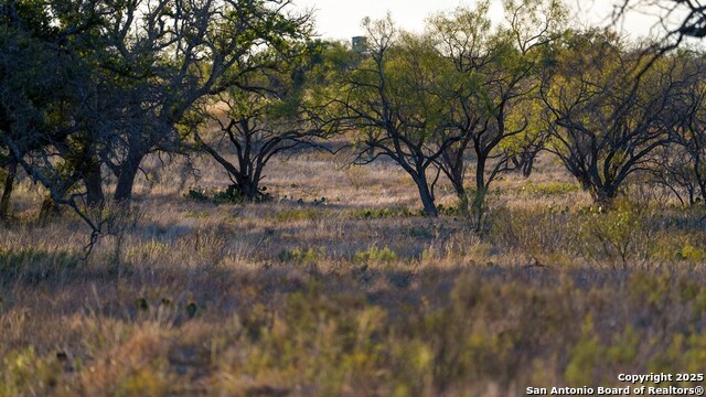 Other, 11111, United States, ,Land,For Sale,1948635