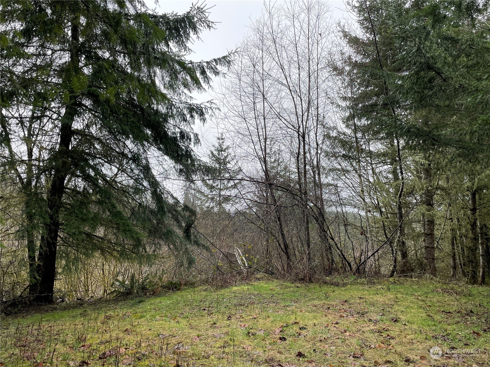 0 Fallert Road, Kalama, Washington, 98625, United States, ,Land,For Sale,0 Fallert Road,1273199