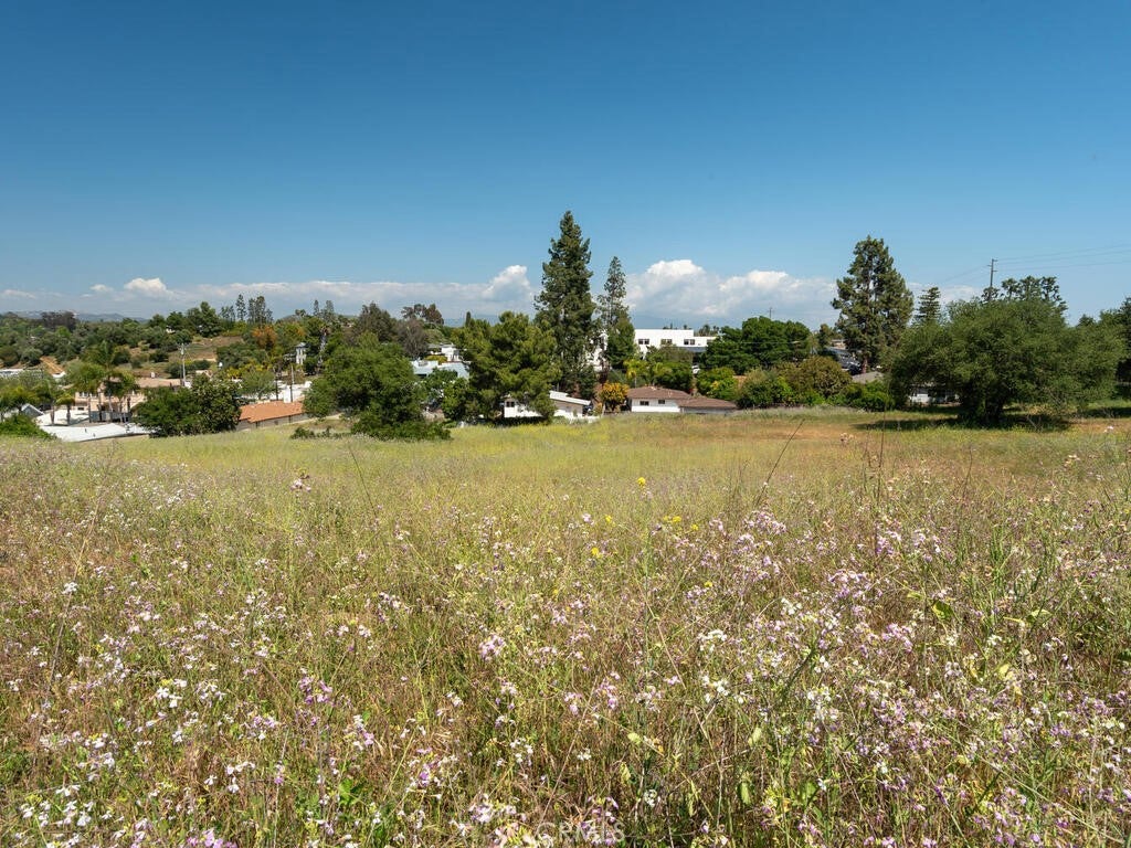 Fallbrook, California, 92028, United States, ,Land,For Sale,1805274