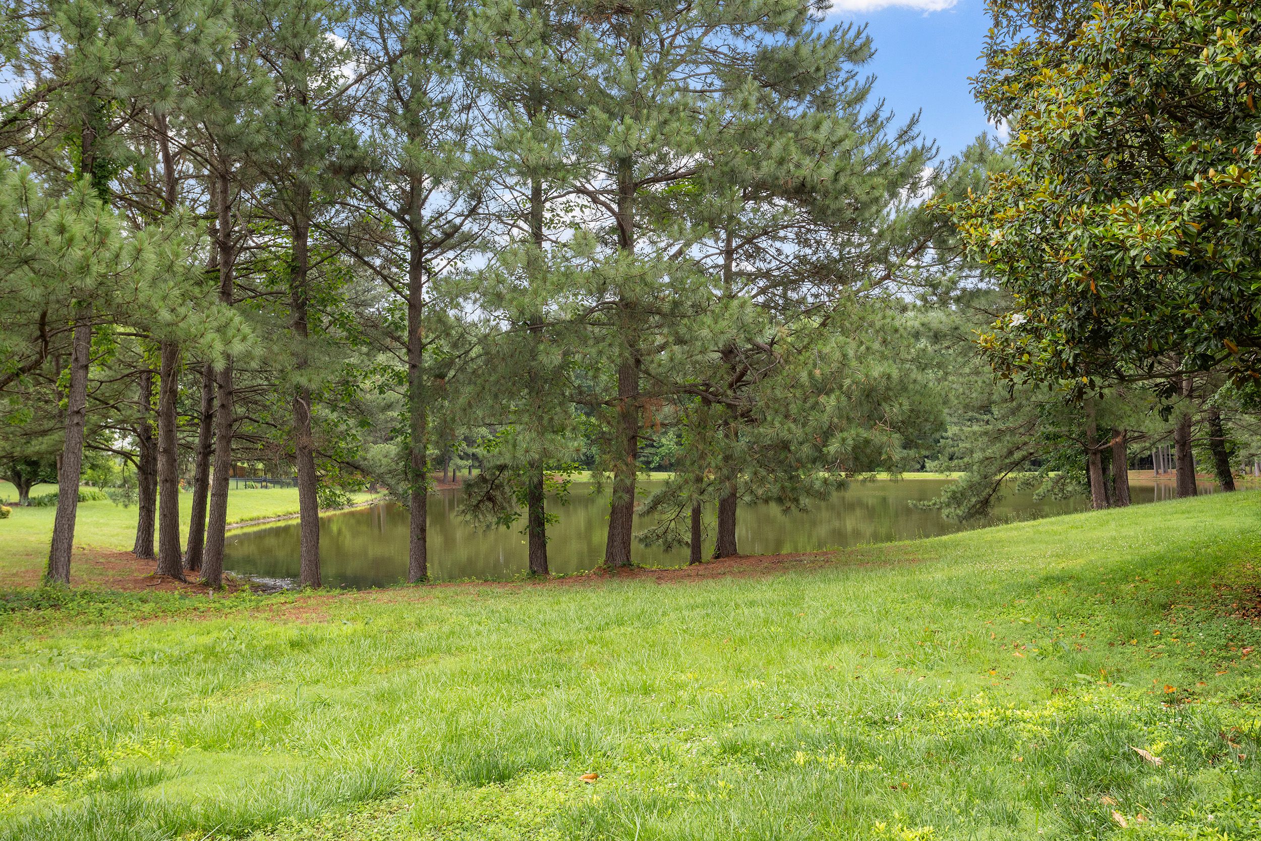  109 Bittercress Court, Cary, NC 27518 - 物件實景