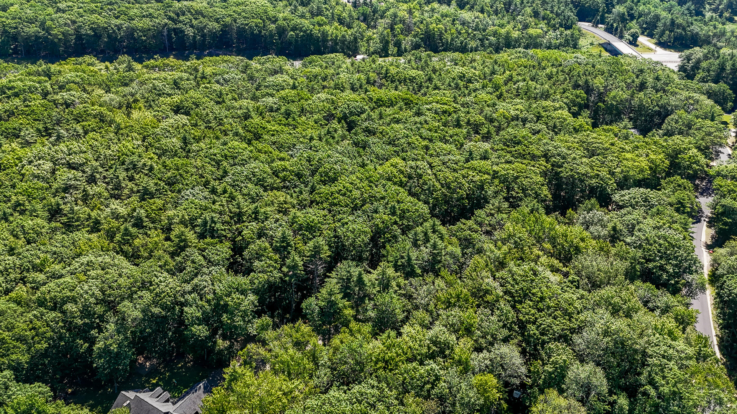 Ogunquit, Maine, 03907, United States, ,Land,For Sale,1874318
