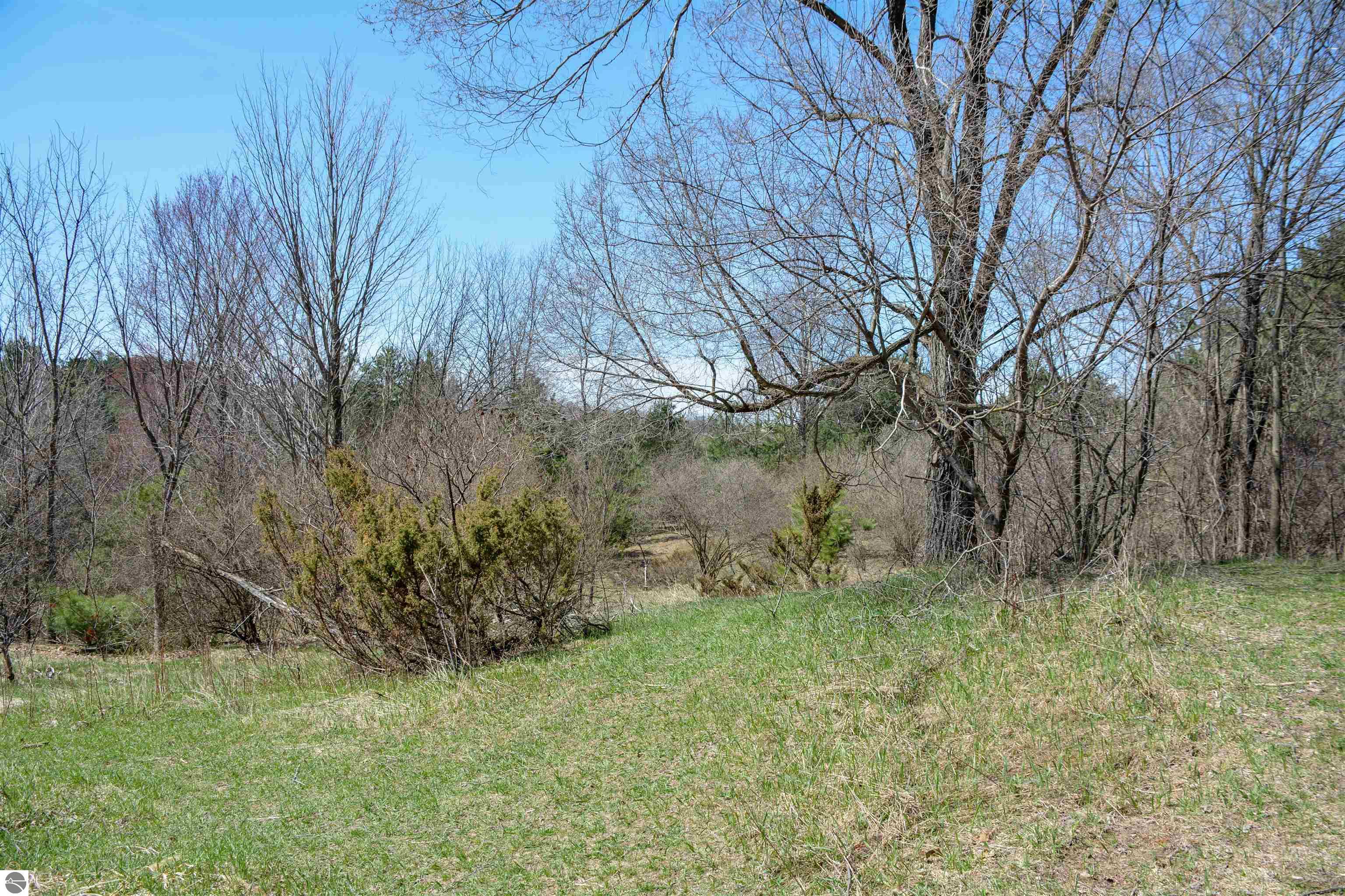 Traverse City, Michigan, 49696, United States, ,Land,For Sale,1850292