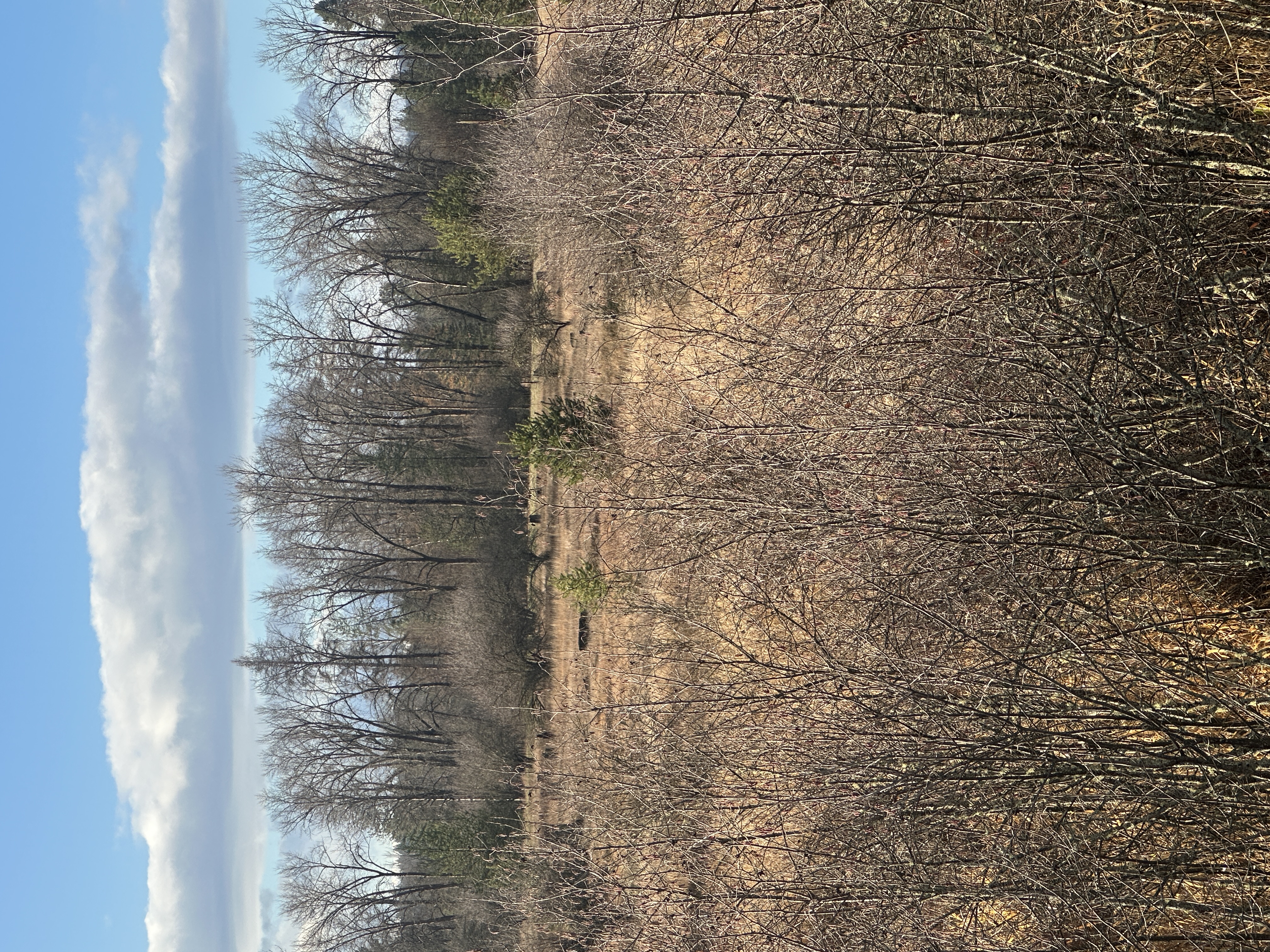 Priest River, Idaho, 83856, United States, ,Land,For Sale,2006127