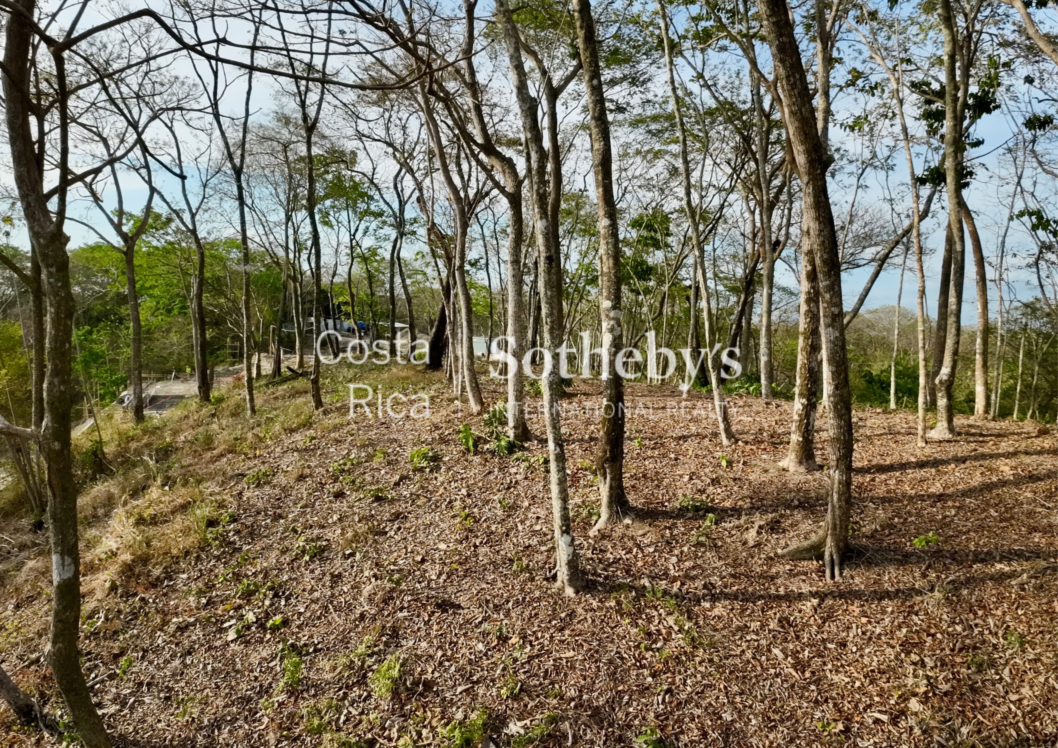  Expansive Ocean View Lot in the Hills of Hermosa - 物件實景