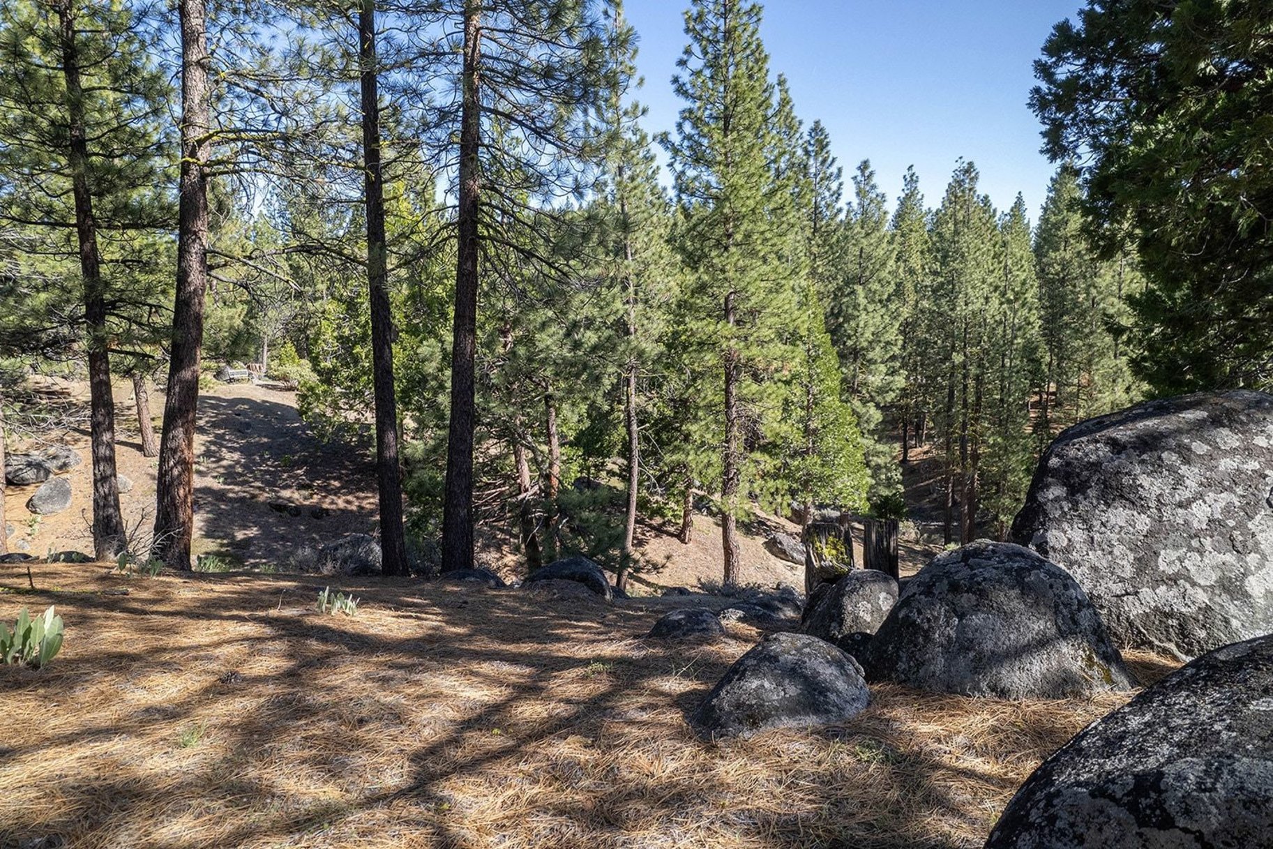  2.69 Private Acres in Nakoma with Stunning Eureka Peak Views - 物件實景