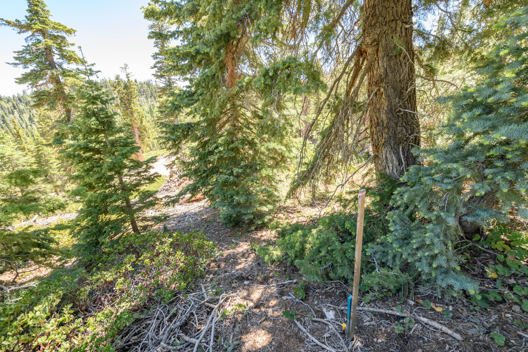  Quiet Mountain Retreat Near Navajo Lake - 物件實景