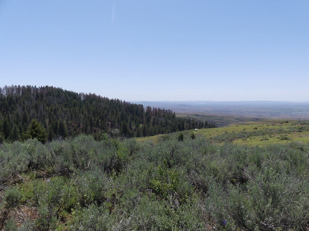 Indian Valley, Idaho, 83682, United States, ,Land,For Sale,1976667