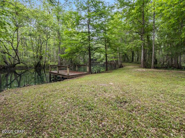 Vernon, Florida, 32462, United States, ,Residential,For Sale,1795705