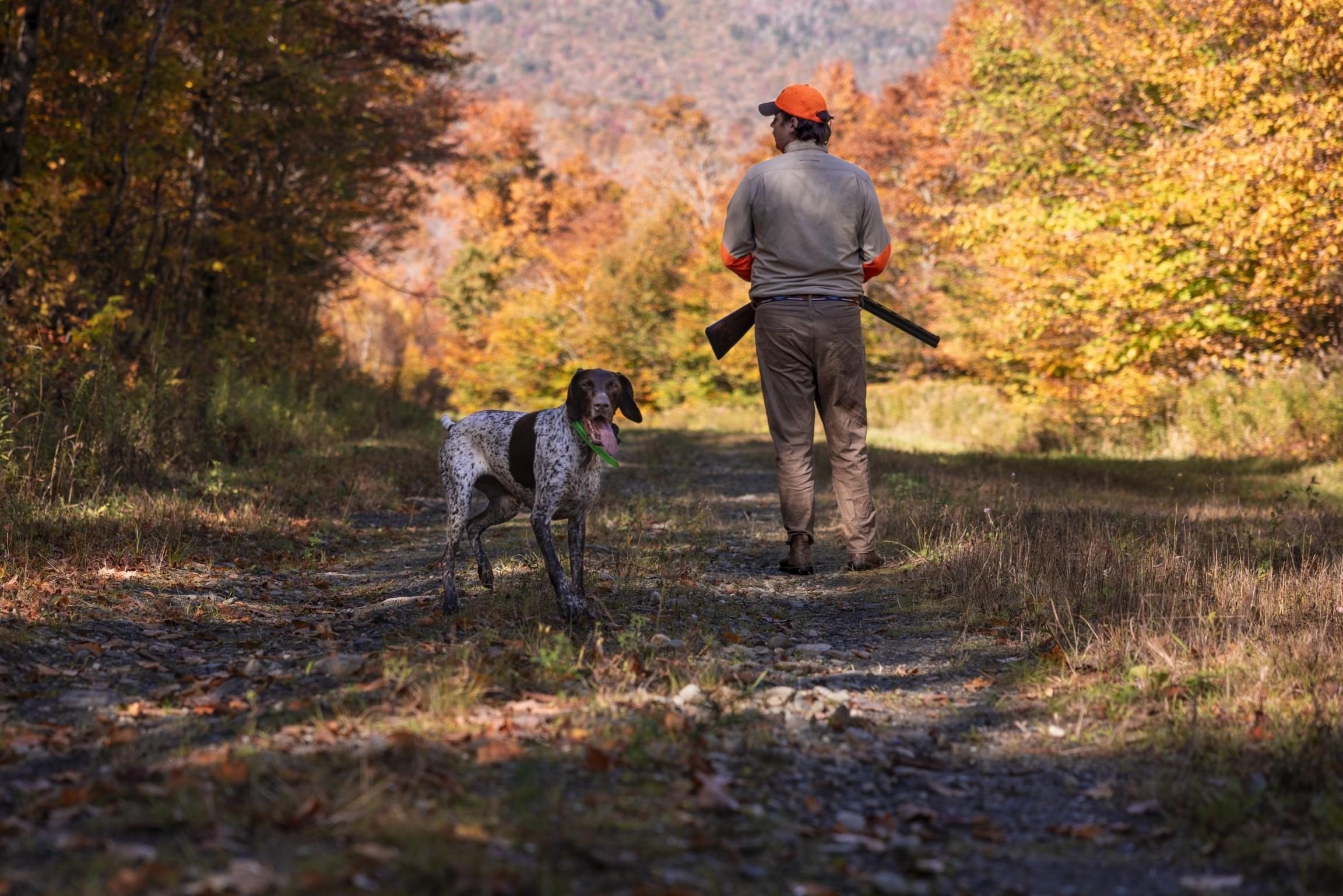 Jay, Vermont, 05859, United States, ,Land,For Sale,1999221