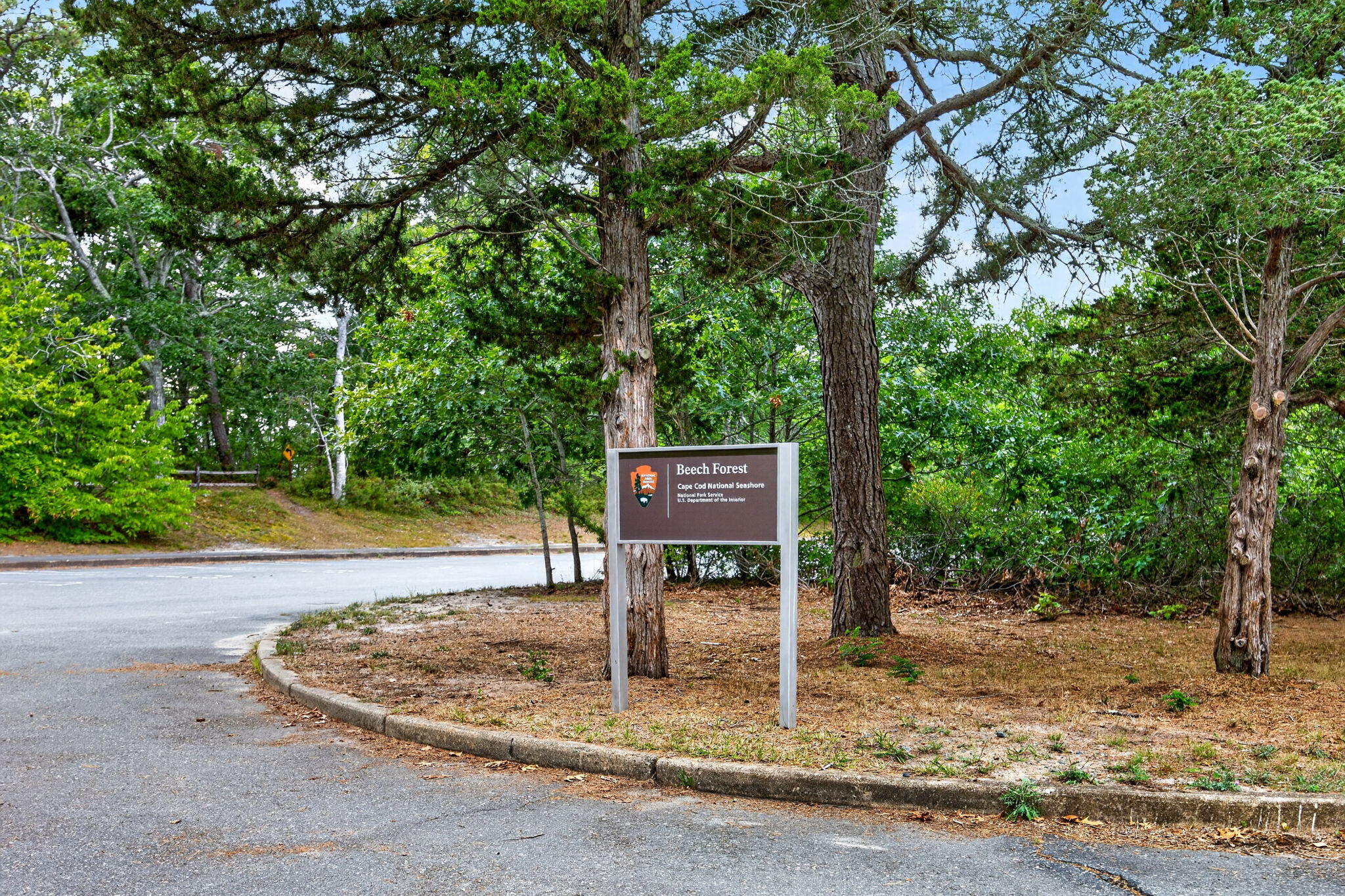 Enjoy Seashore Trails, Private Outdoor Space & Provincetown Living - 物件實景