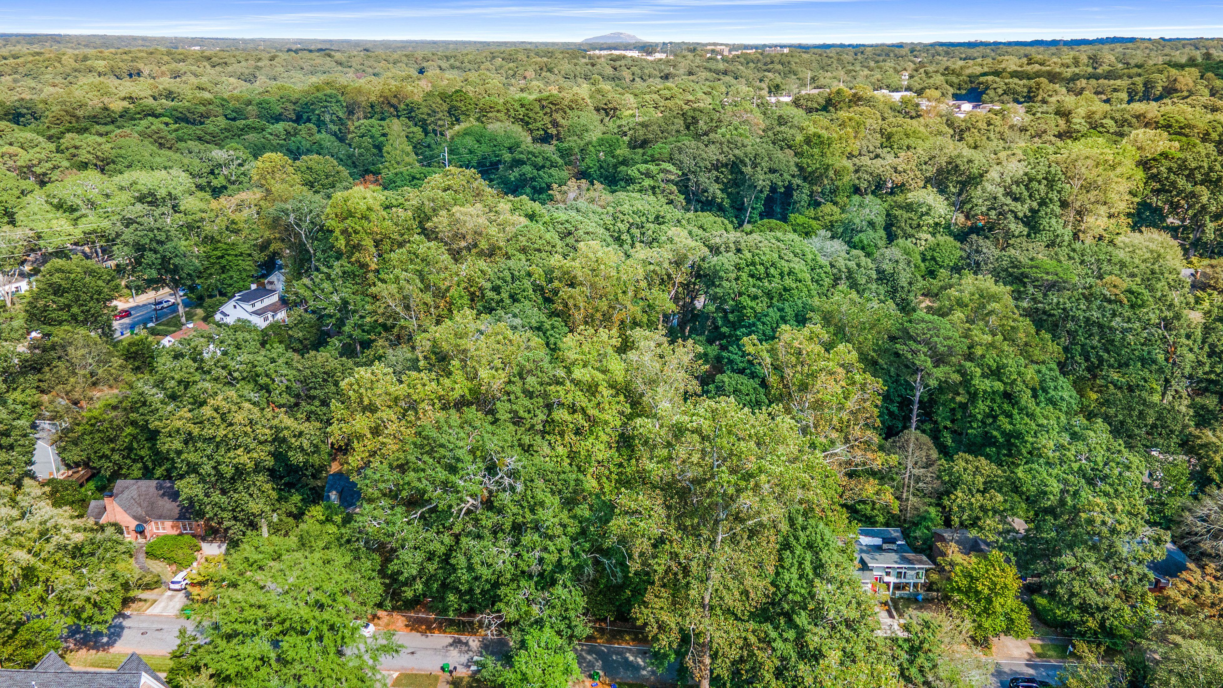  Three Contiguous Lots for New Construction in Historic Druid Hills - 物件實景