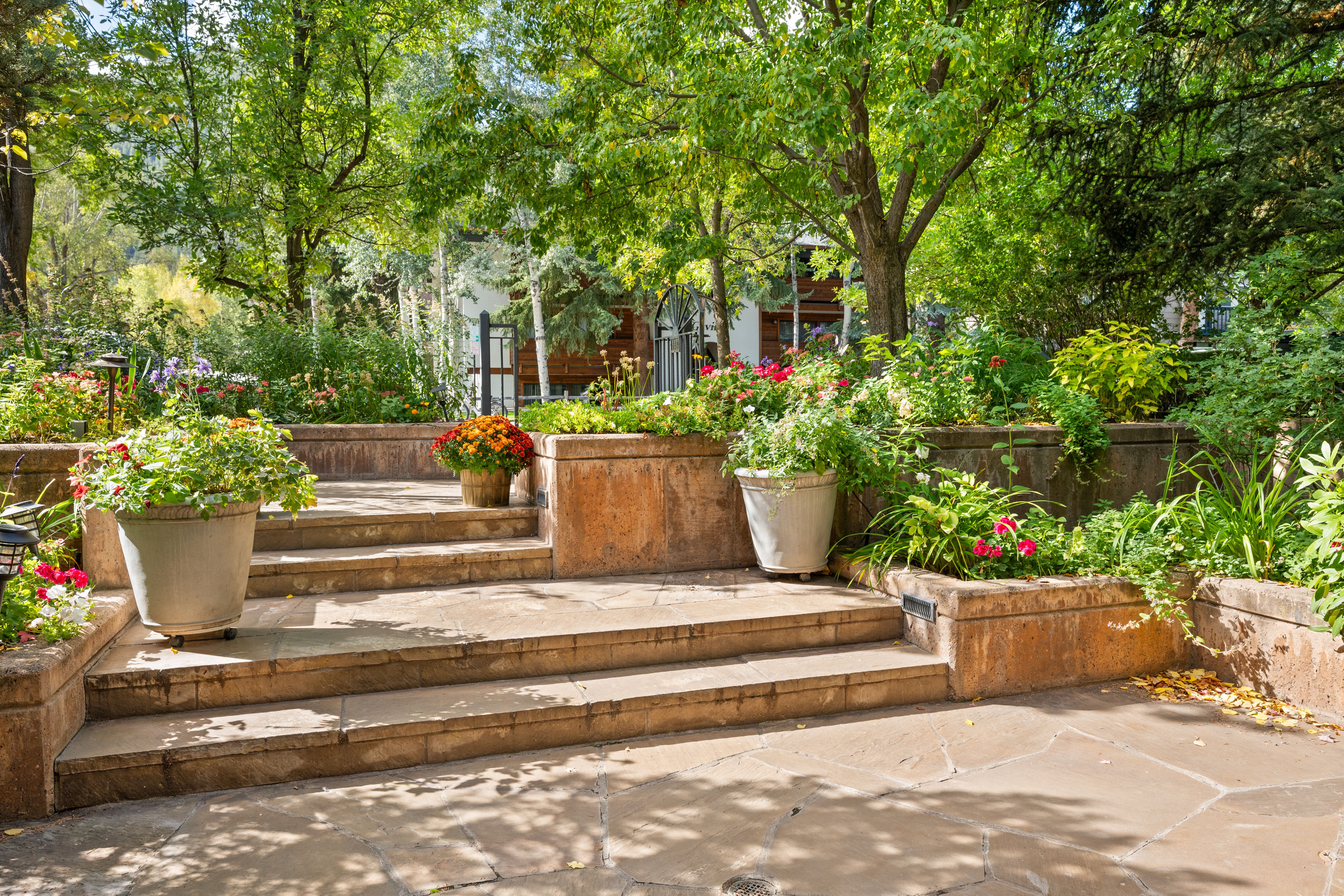  960 E Hopkins Avenue, Aspen, CO, 81611 - 物件實景