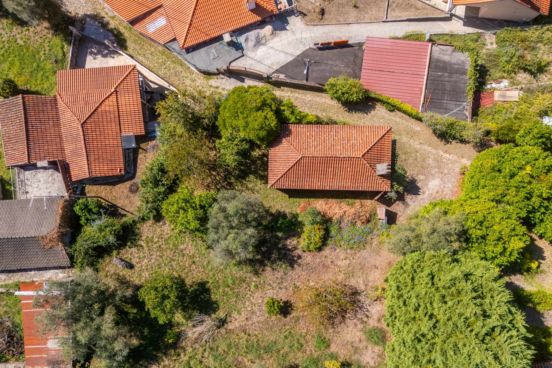  Farm, 5 bedrooms, for Sale - 物件實景